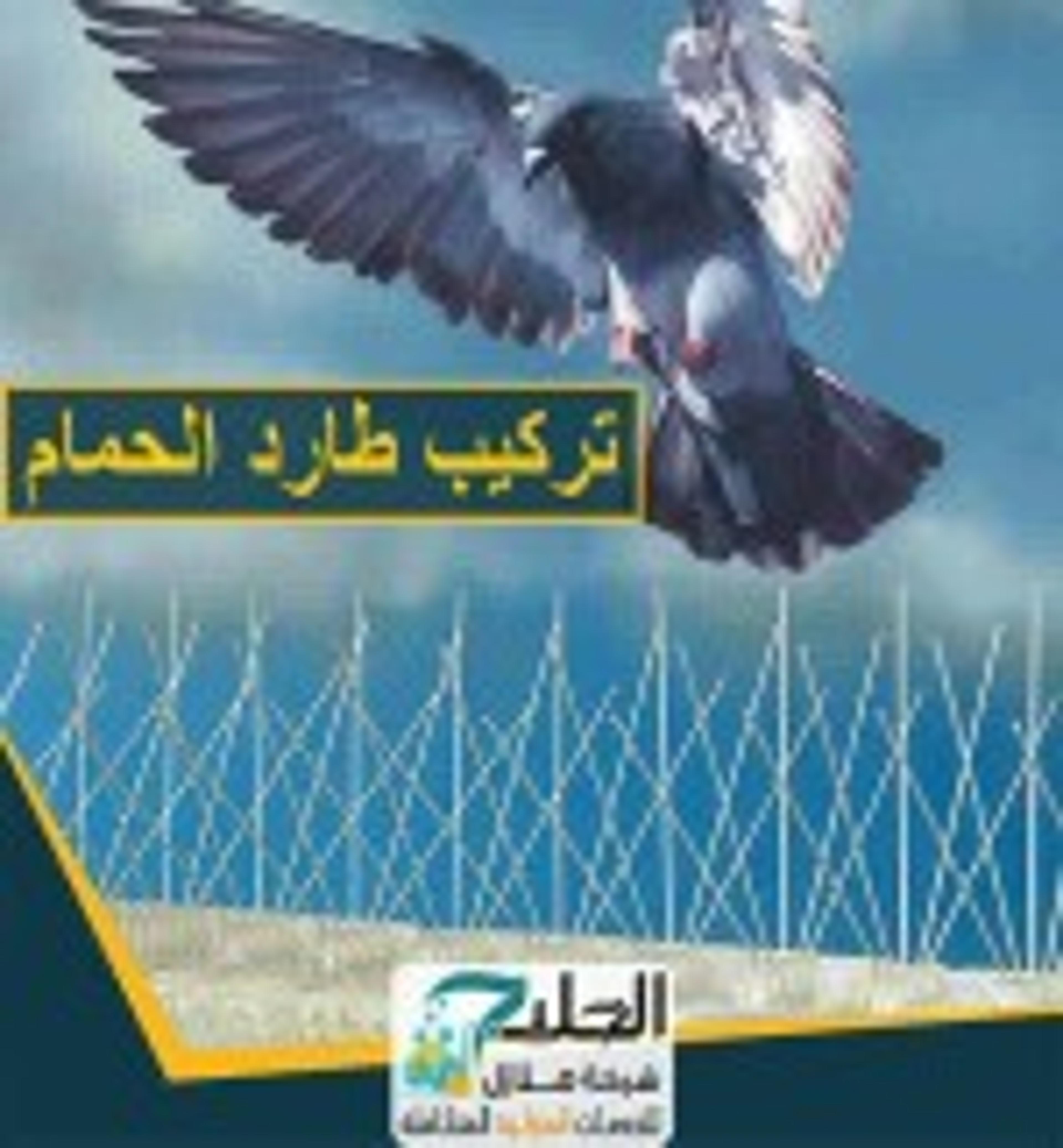 نقل عفش ونظافة