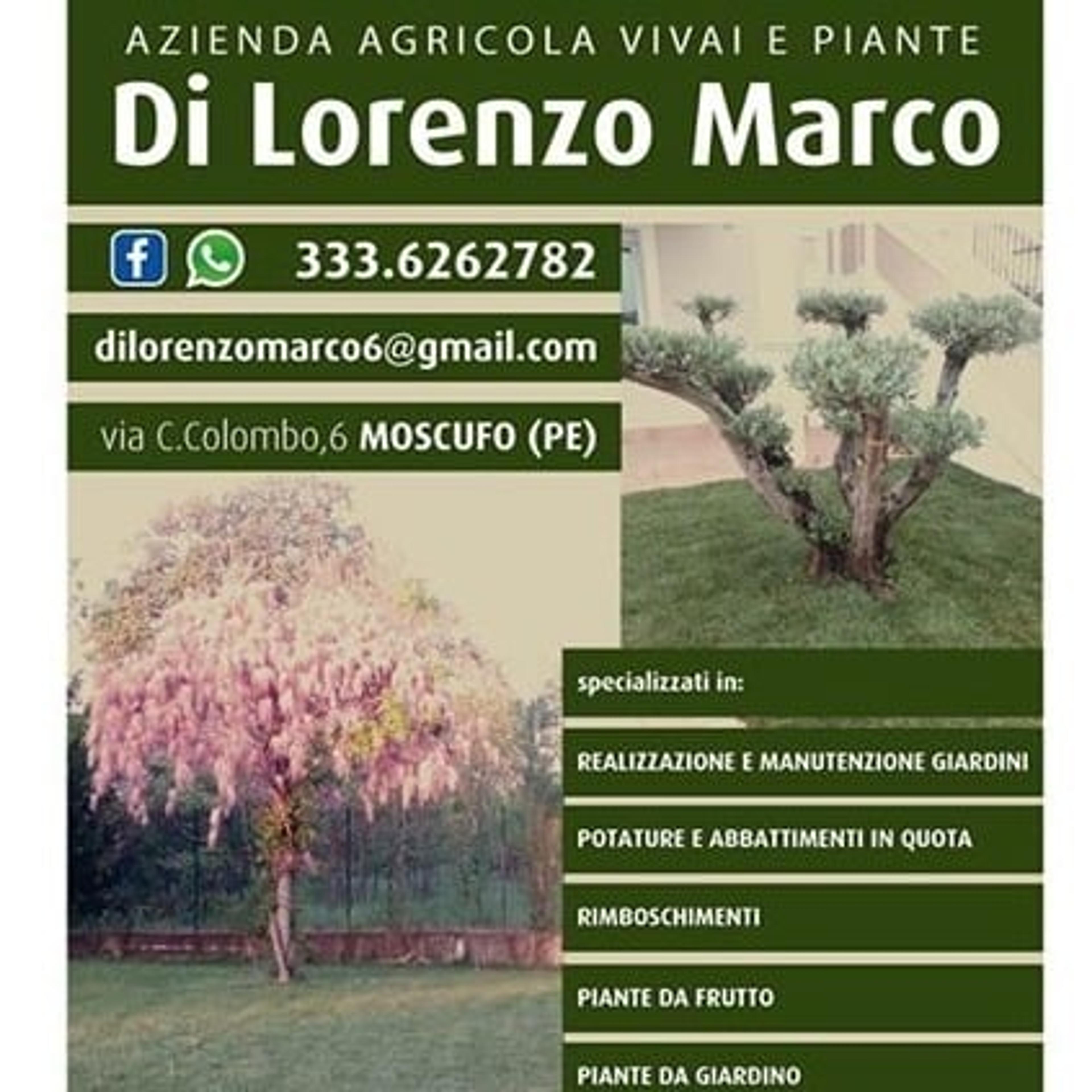 Vivai piante opere in verde Di Lorenzo Marco