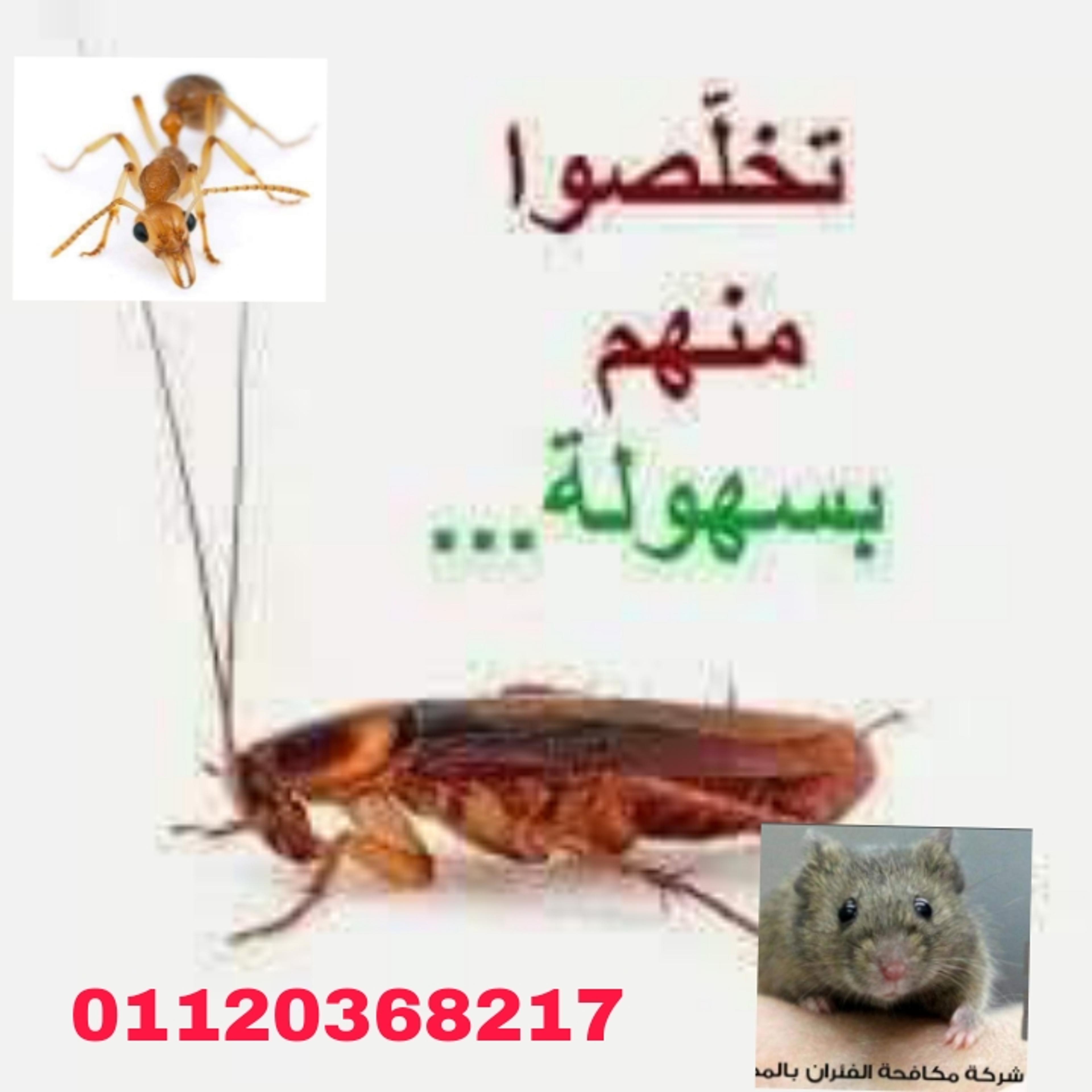 الشركه الالمانية لابادة الحشرات