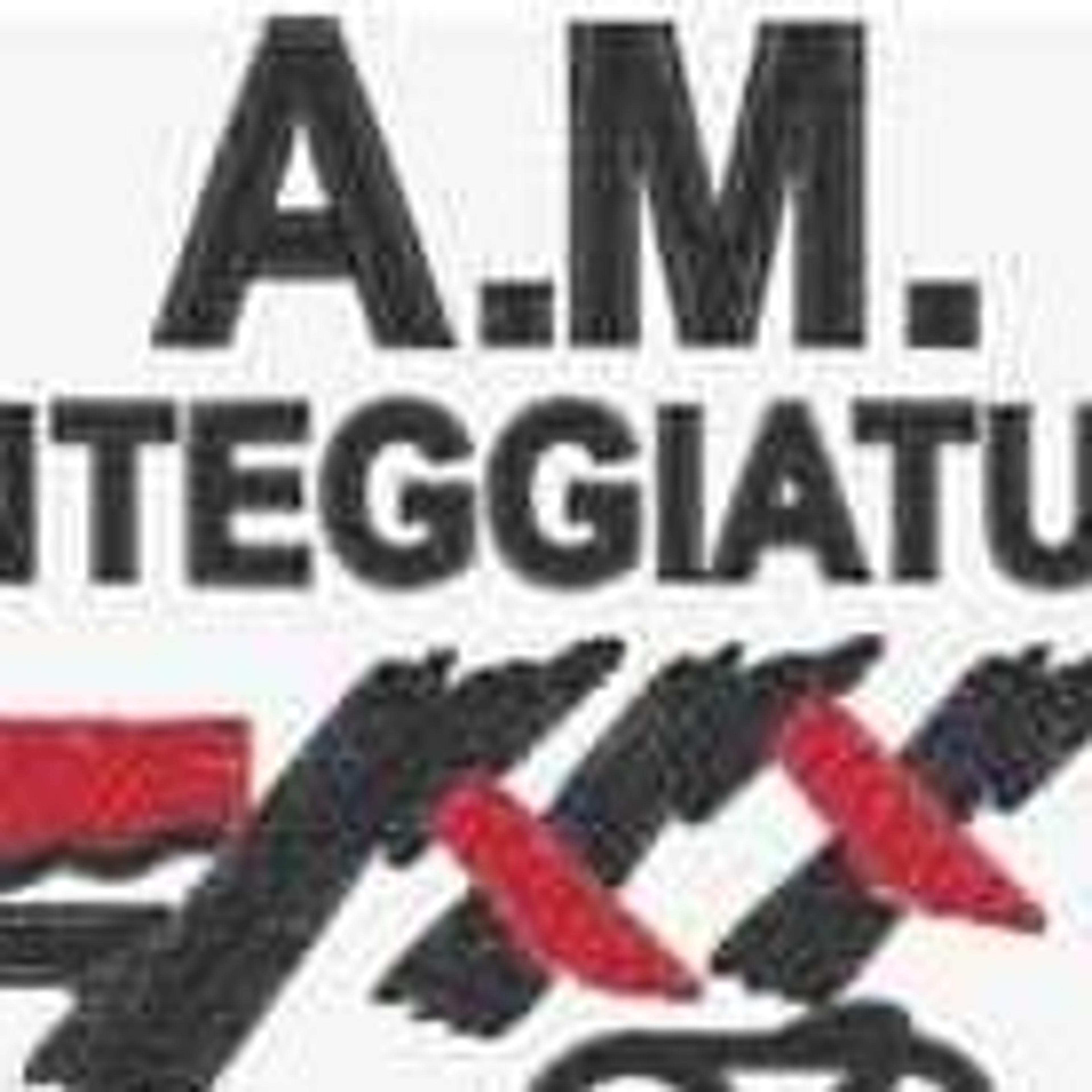 TINTEGGIATURA A.M.