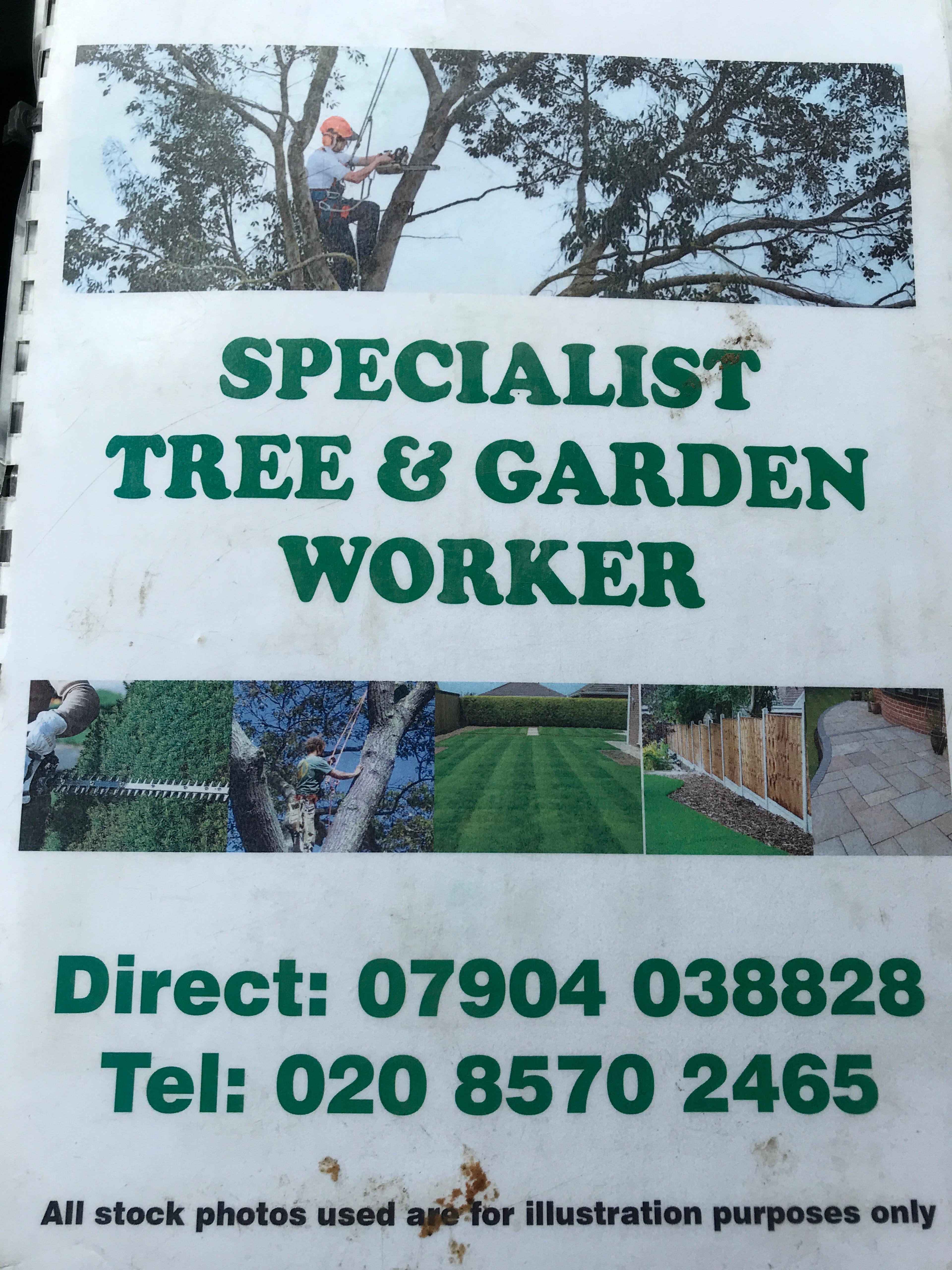 Specialist tree & garden worker