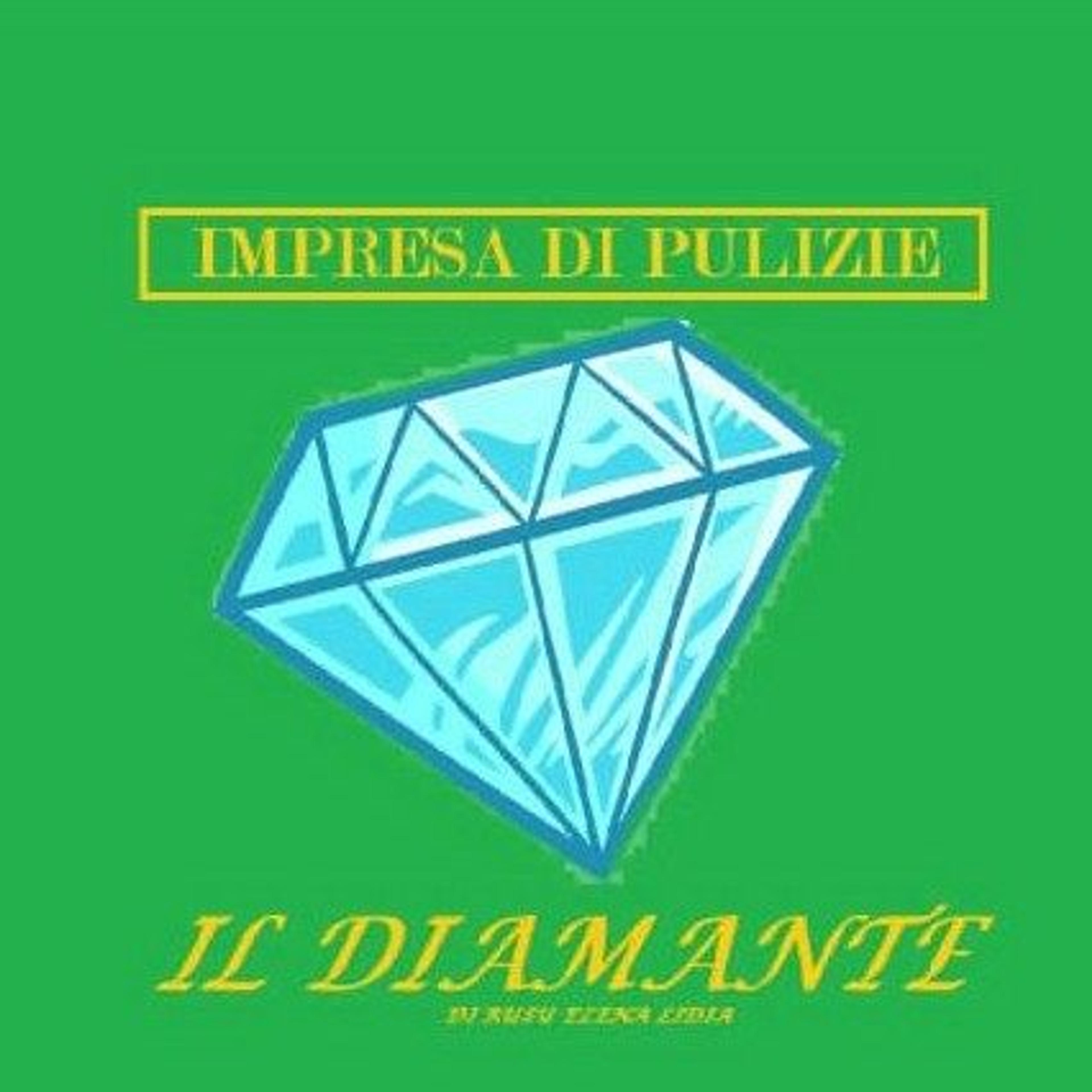 Il Diamante Impresa Di Pulizie