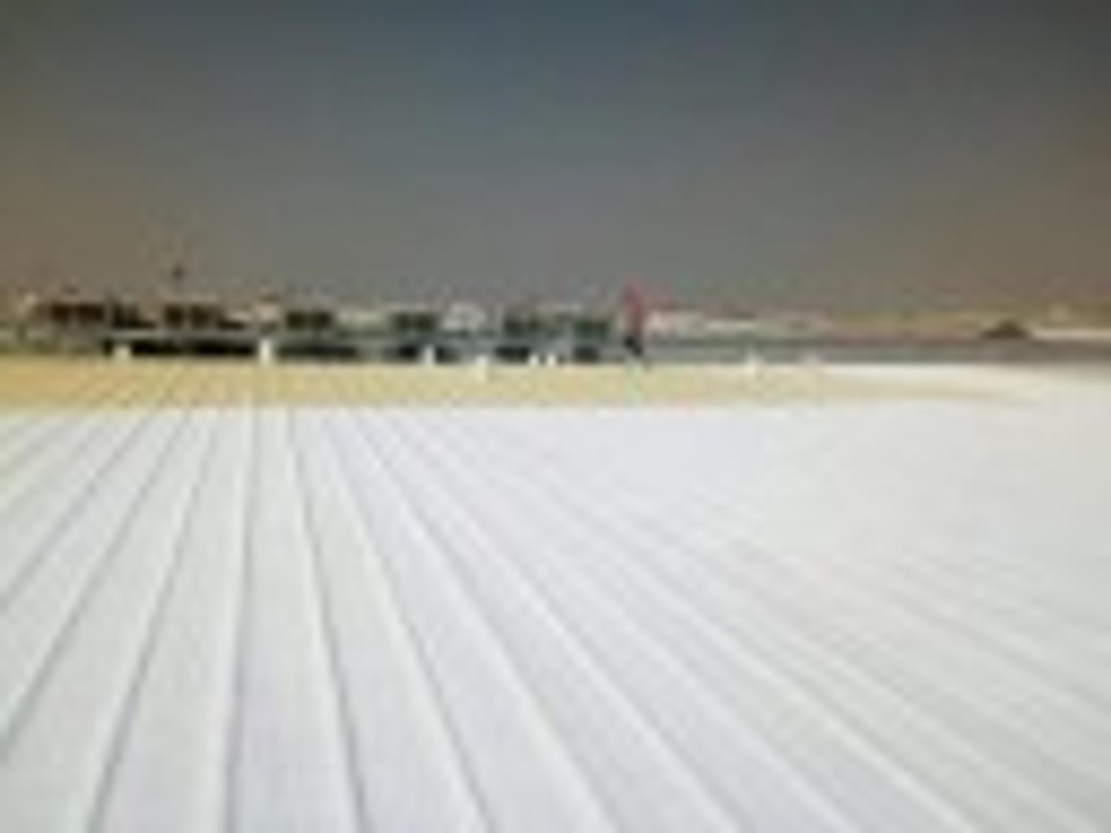 رفعه الدوسري
