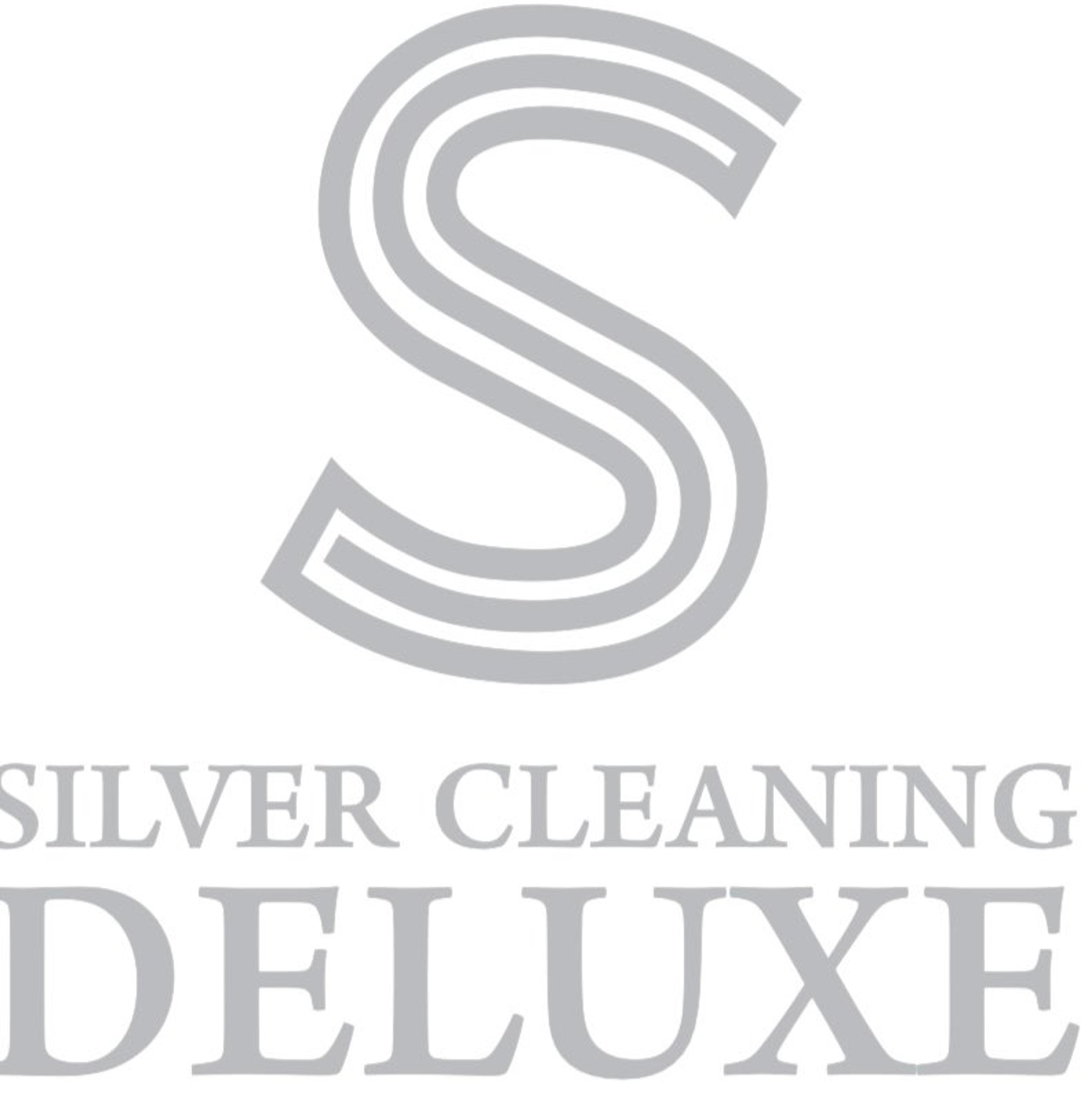 Silver Cleaning Deluxe
