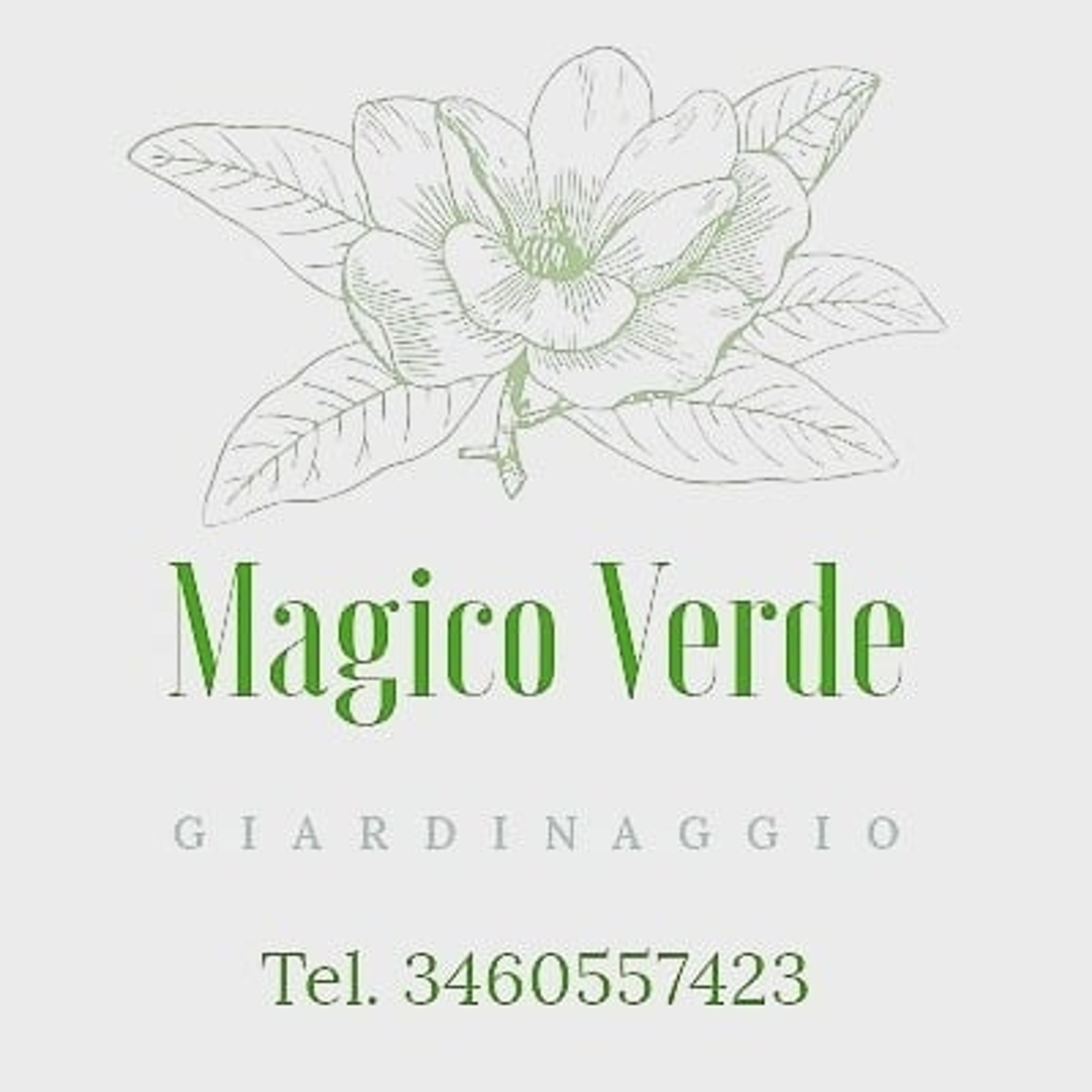 Magico Verde Giardinaggio