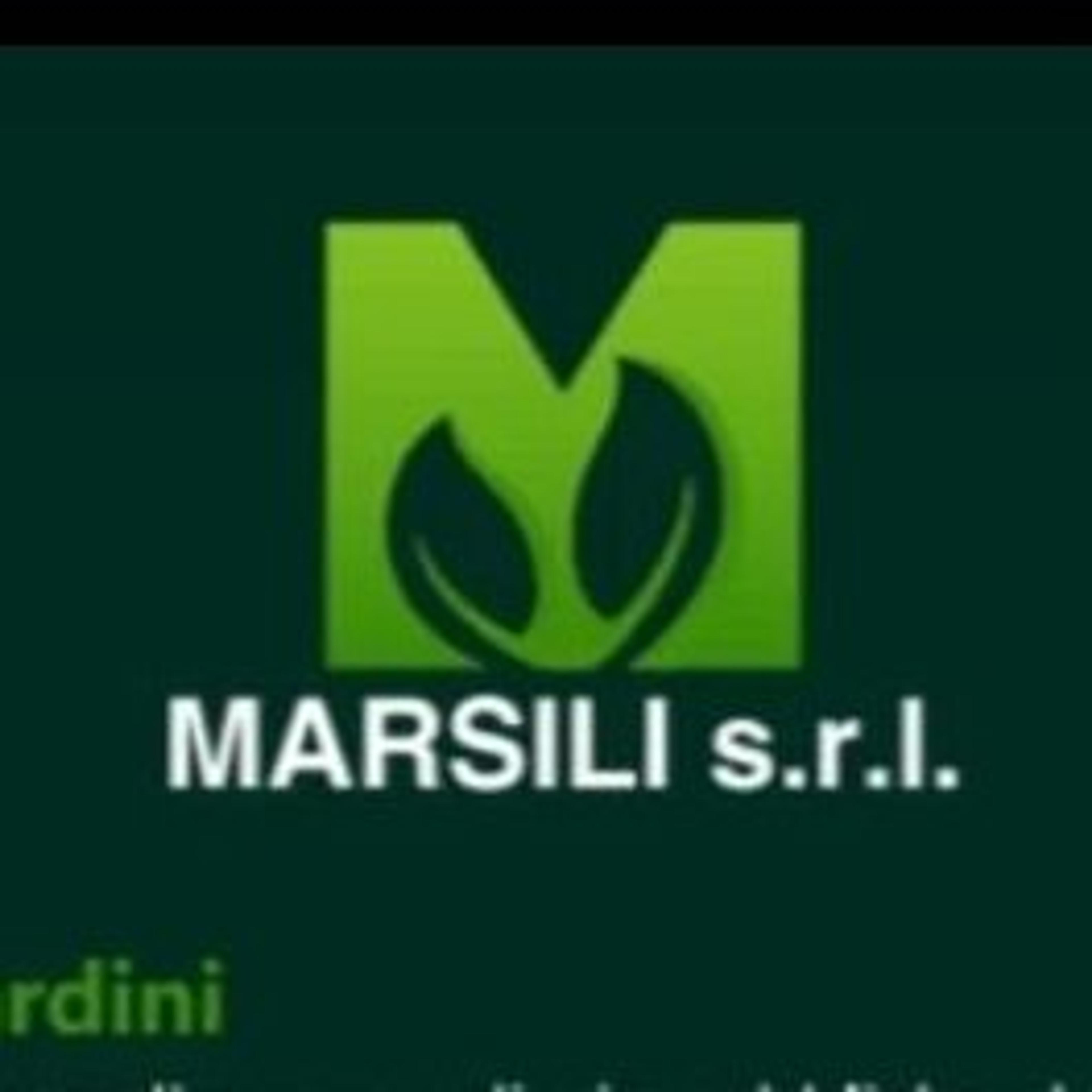 MARSILI