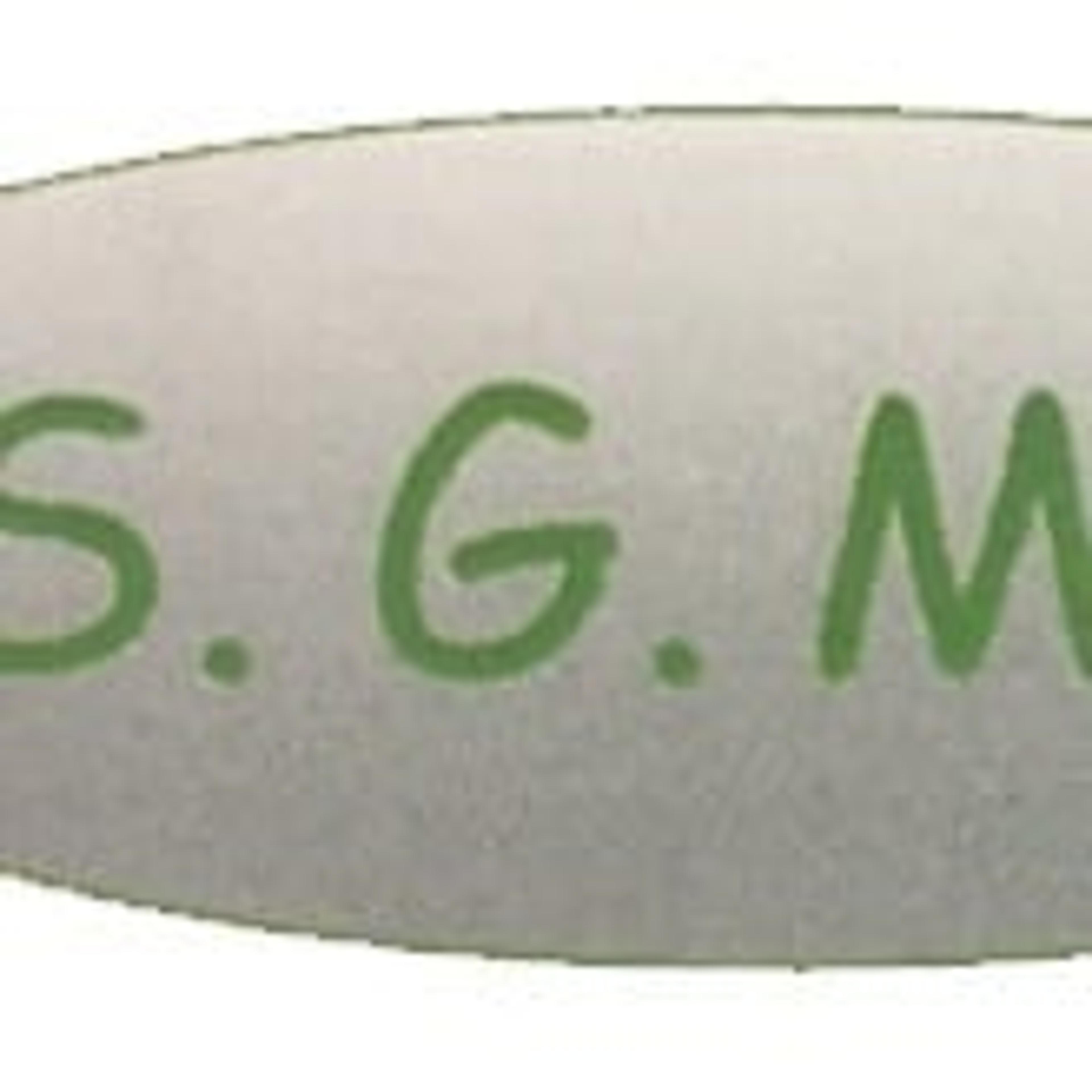 S.G.M. s.r.l.