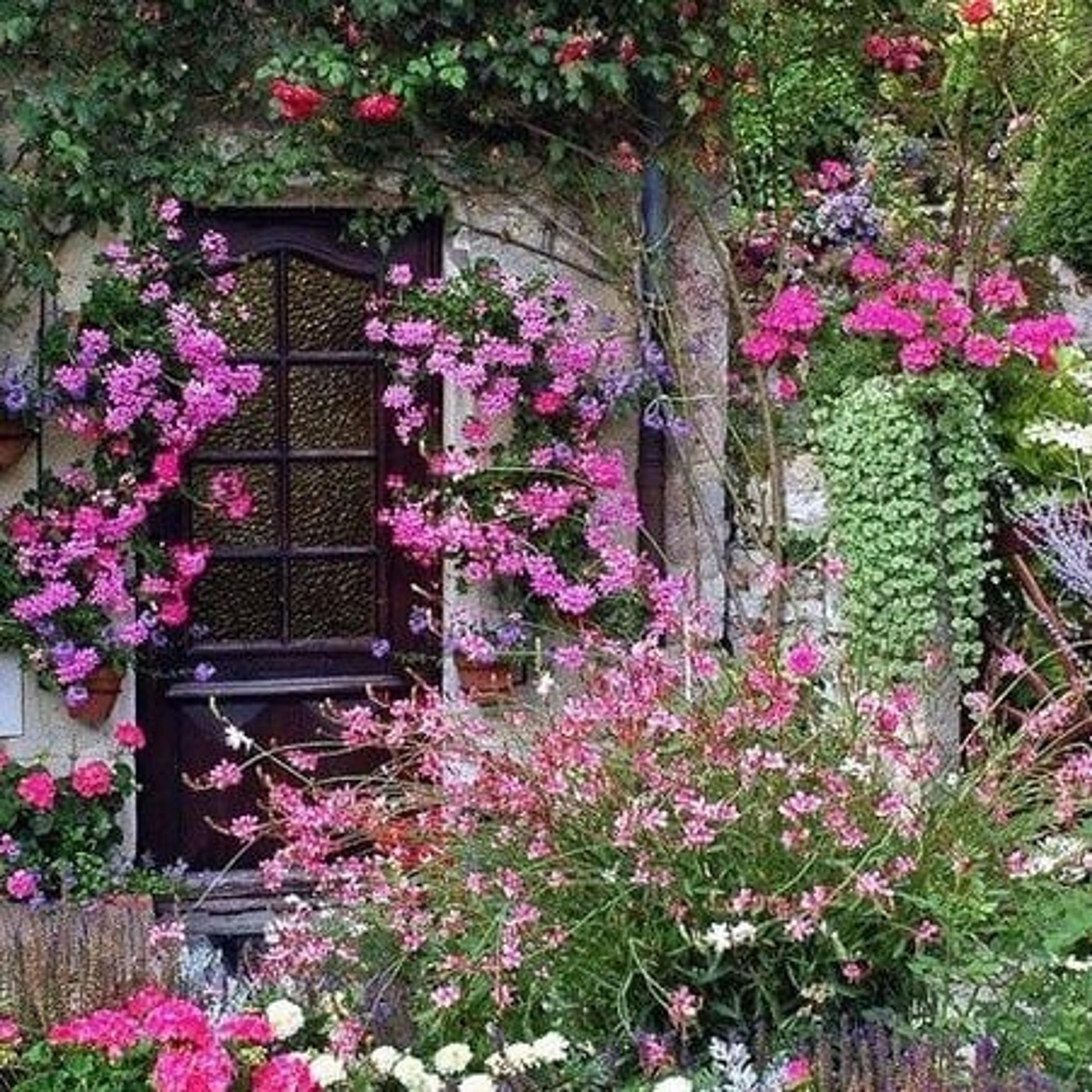 Eden garden