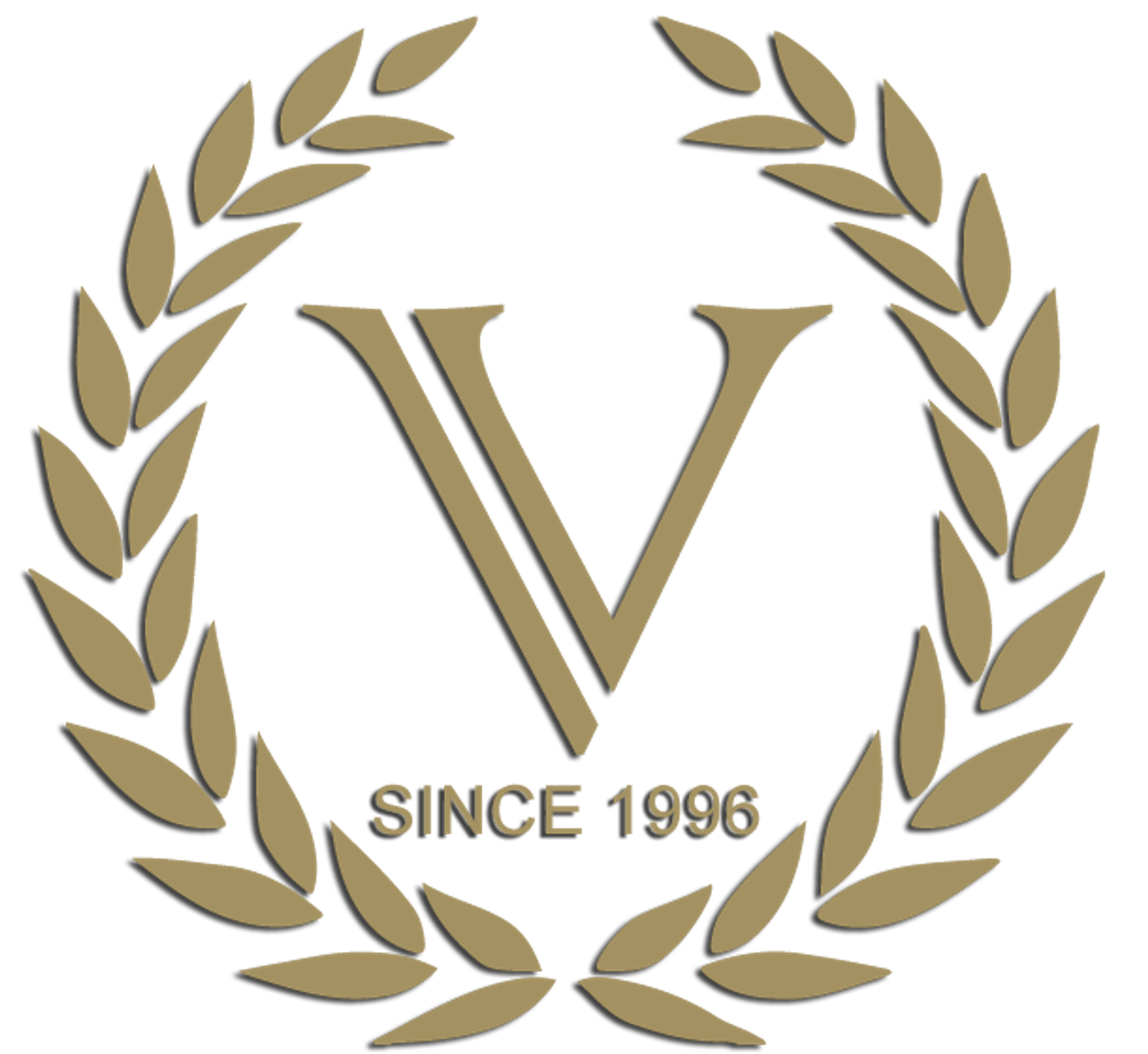VIZZI WebAgency