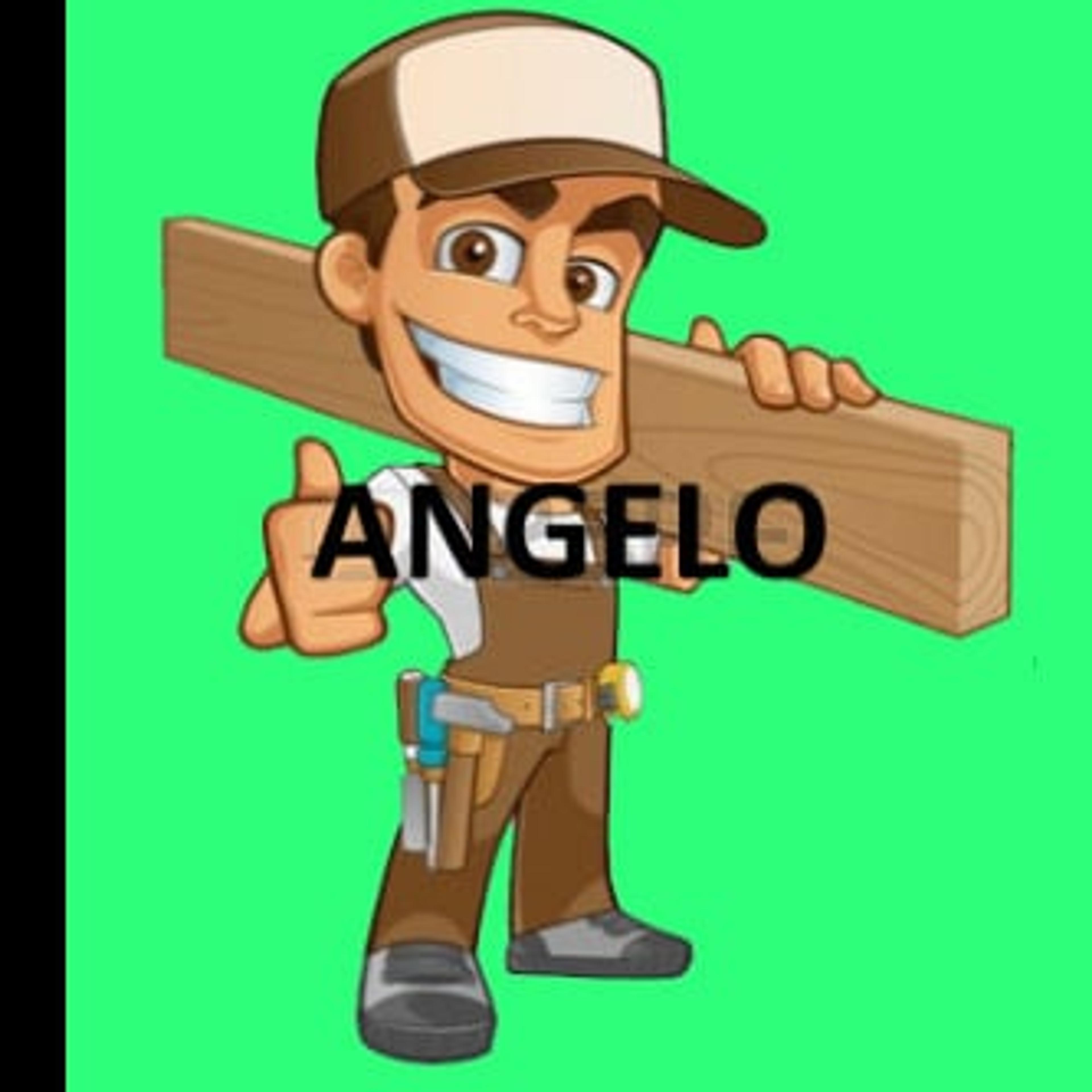 Falegname/montatore angelo insalata
