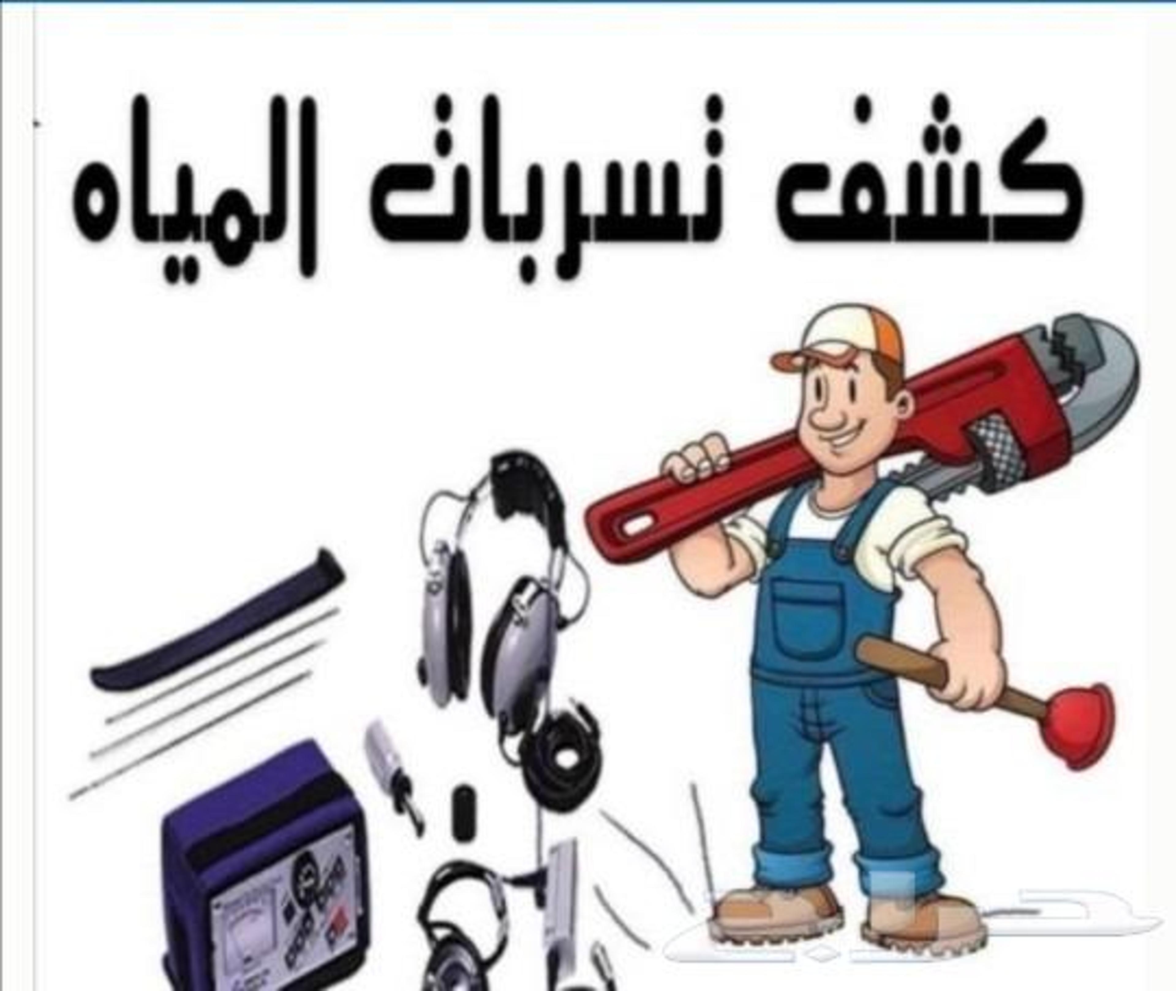 السيطرة