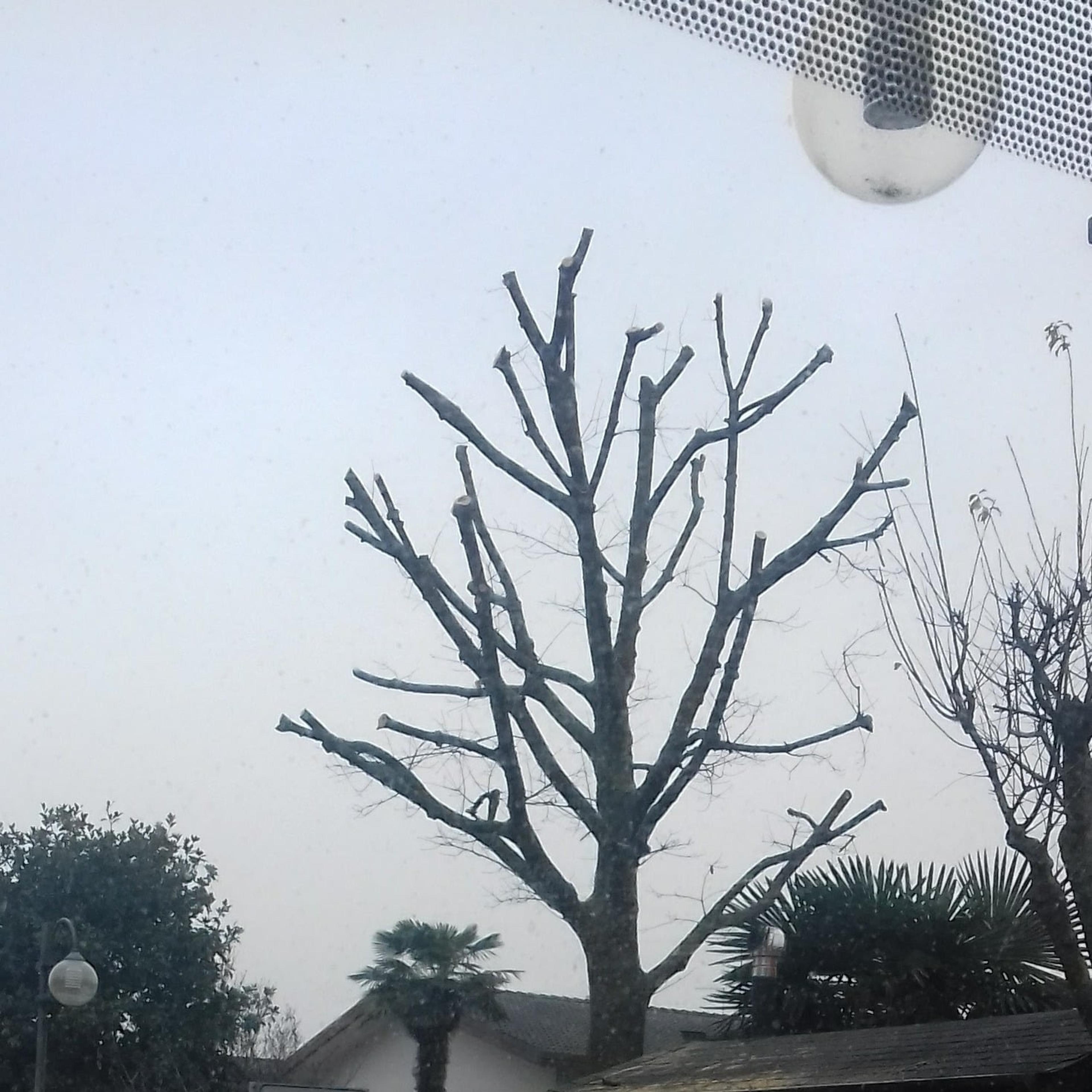 Giardino Mania