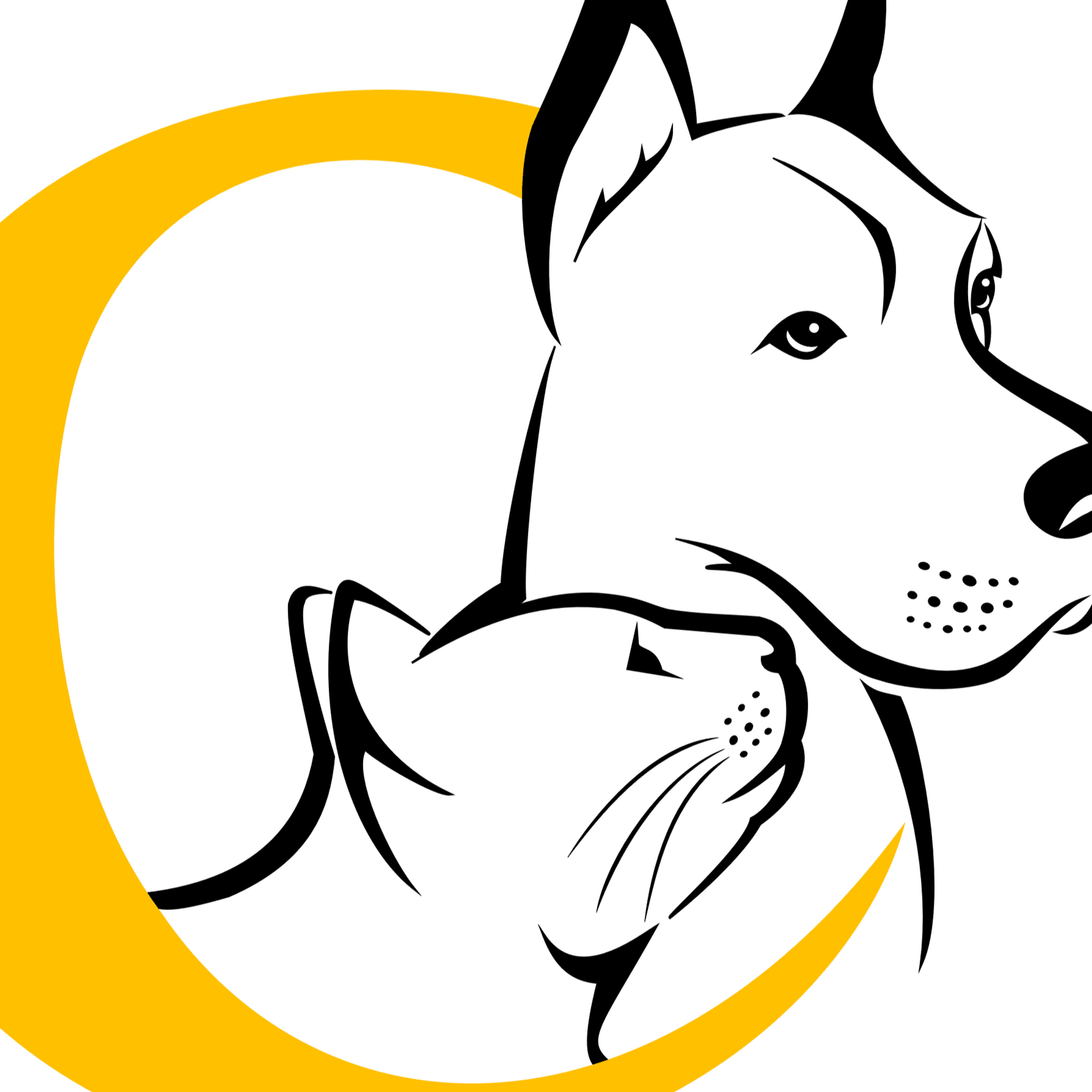 CanisCat Education