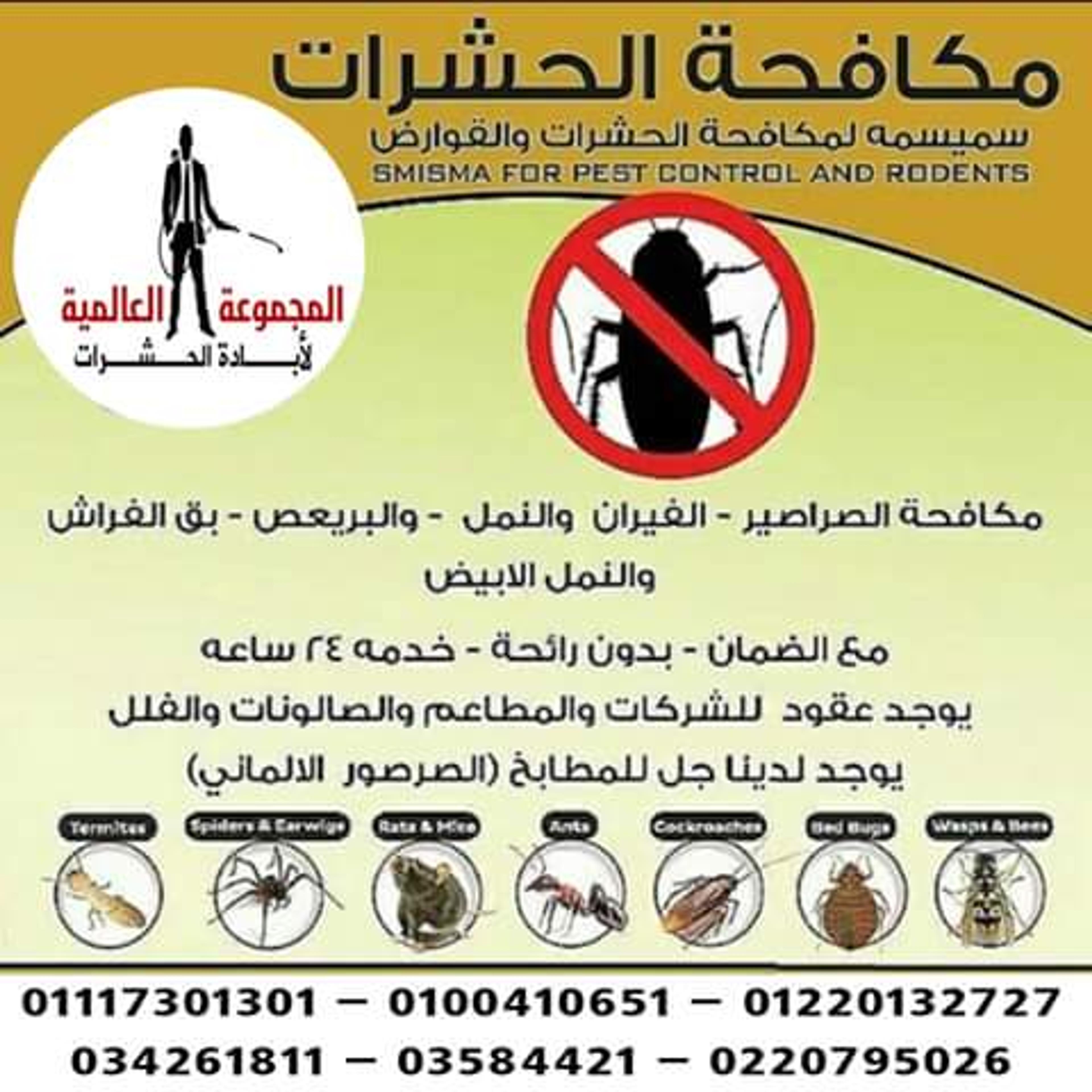 المجموعة العالمية لبحوث الحشرات