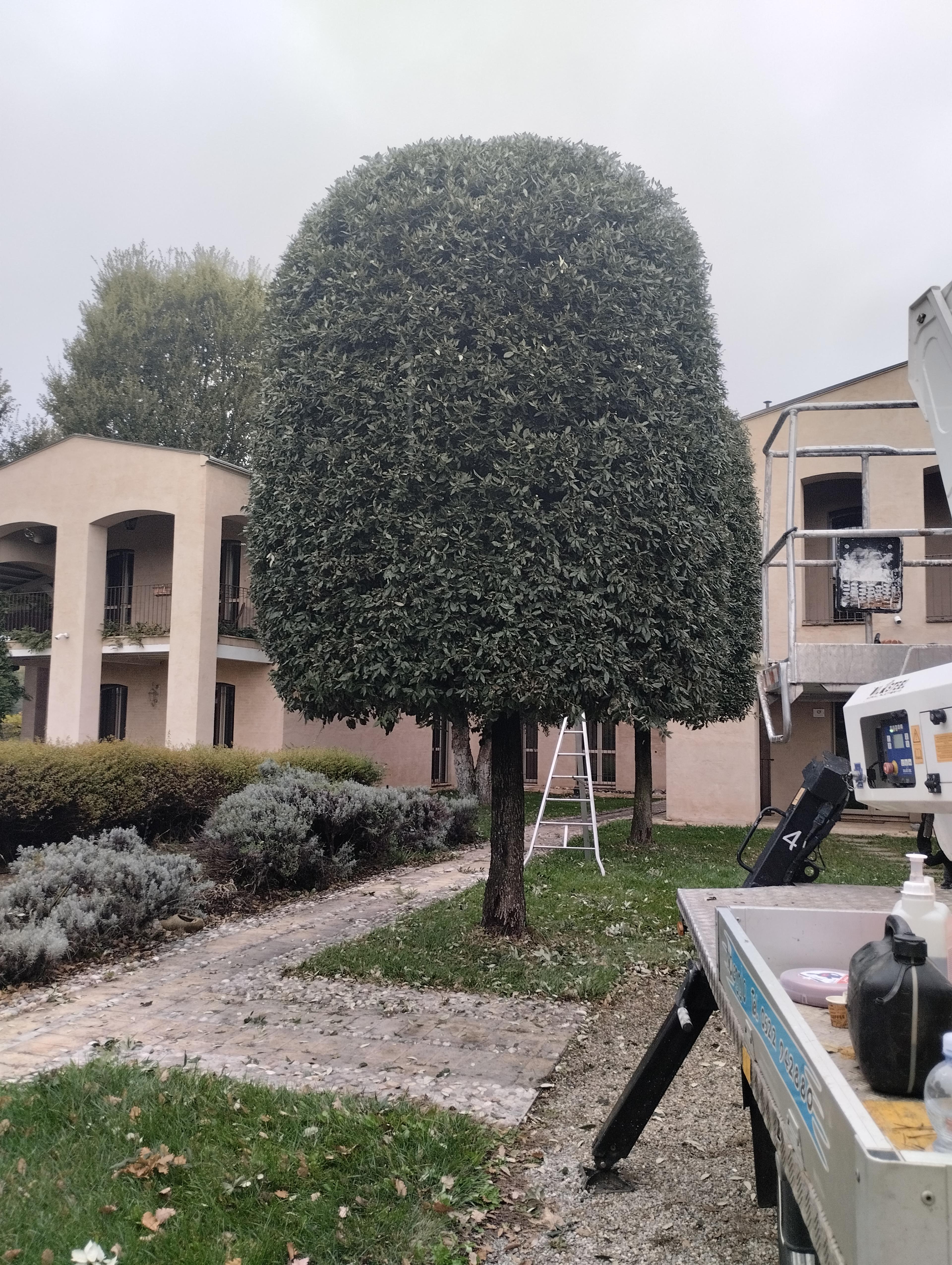 LRG Costruzioni Srls