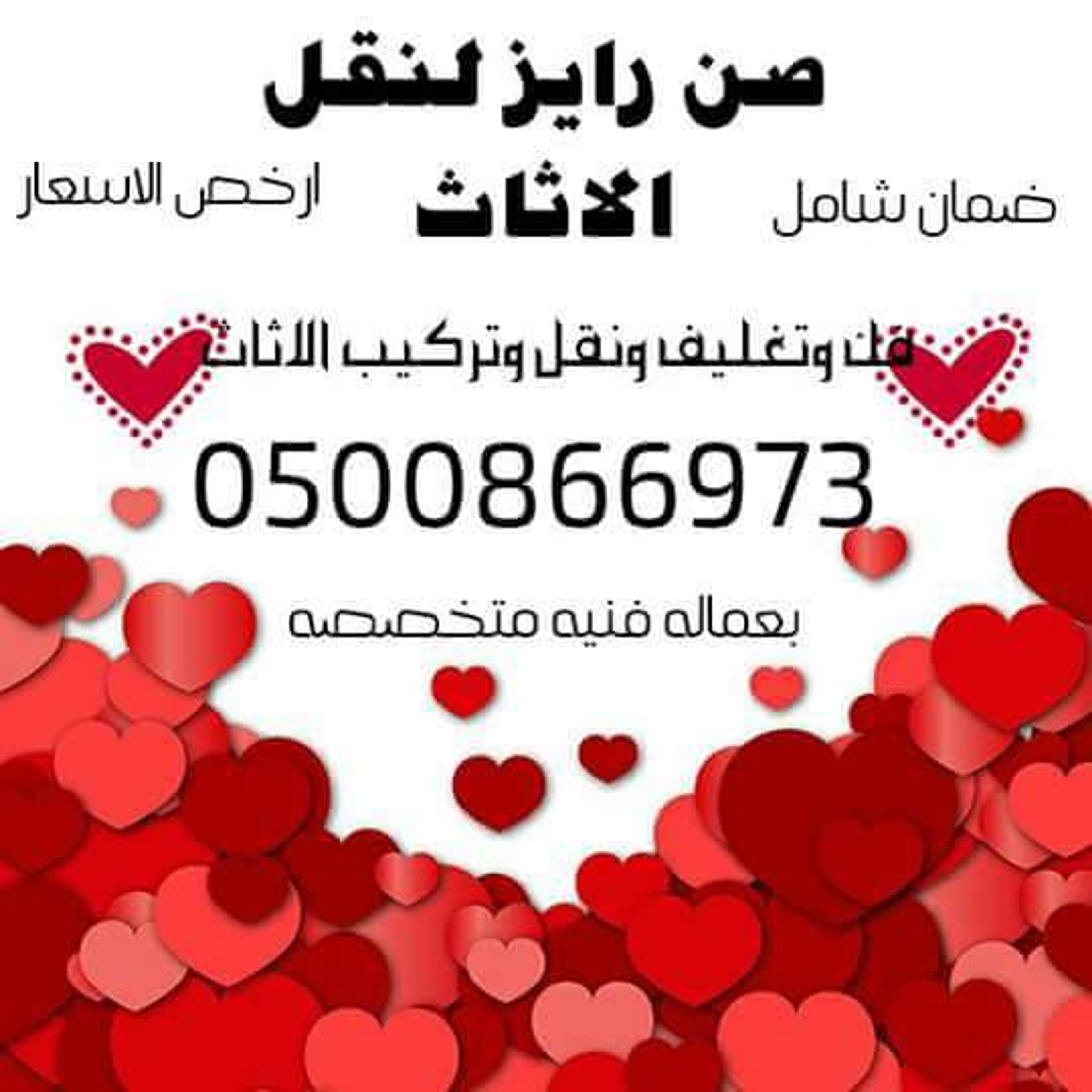 صن رايزلنقل الاثاث