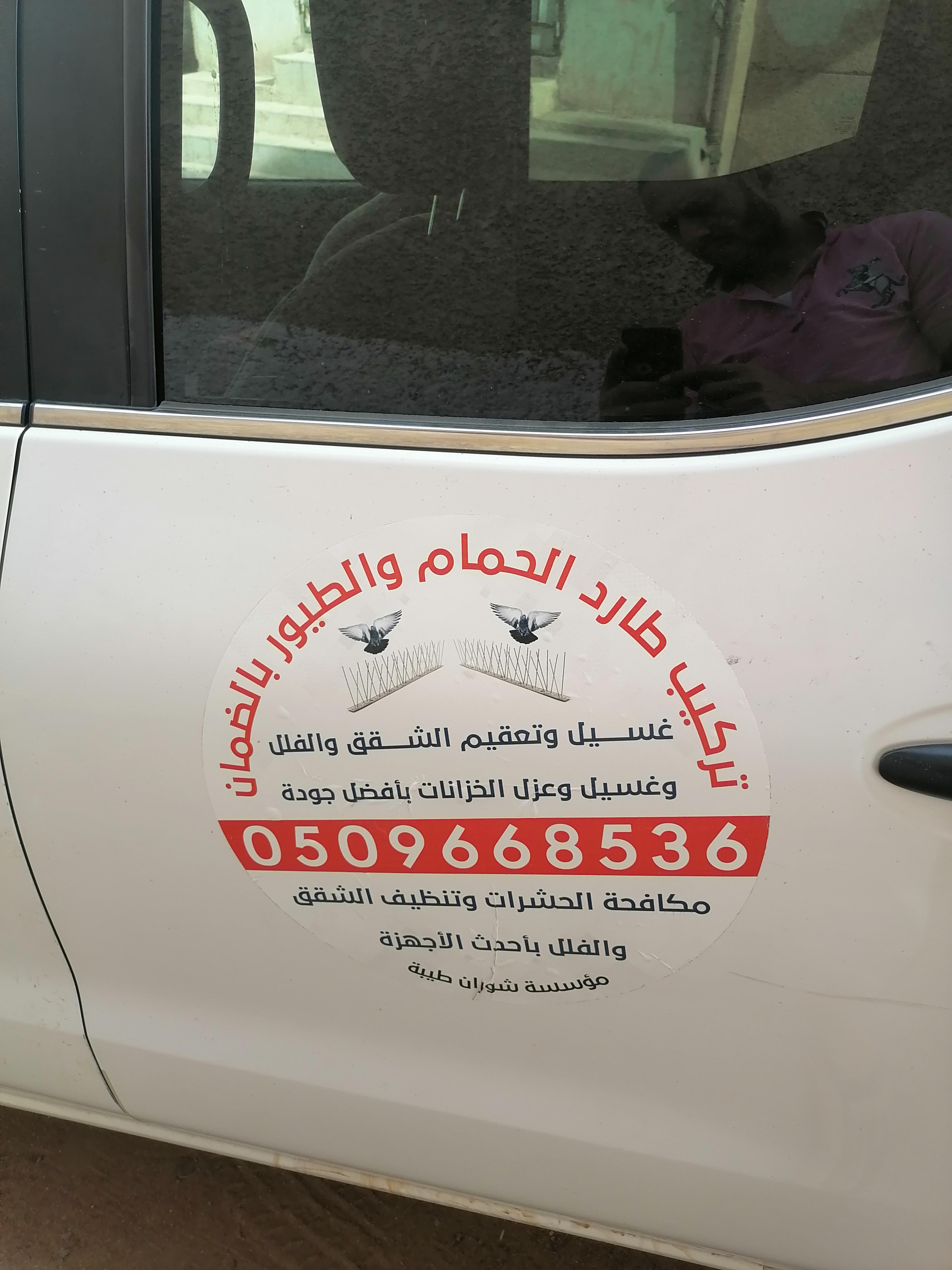 شركة البسمة مكافحة حشرات