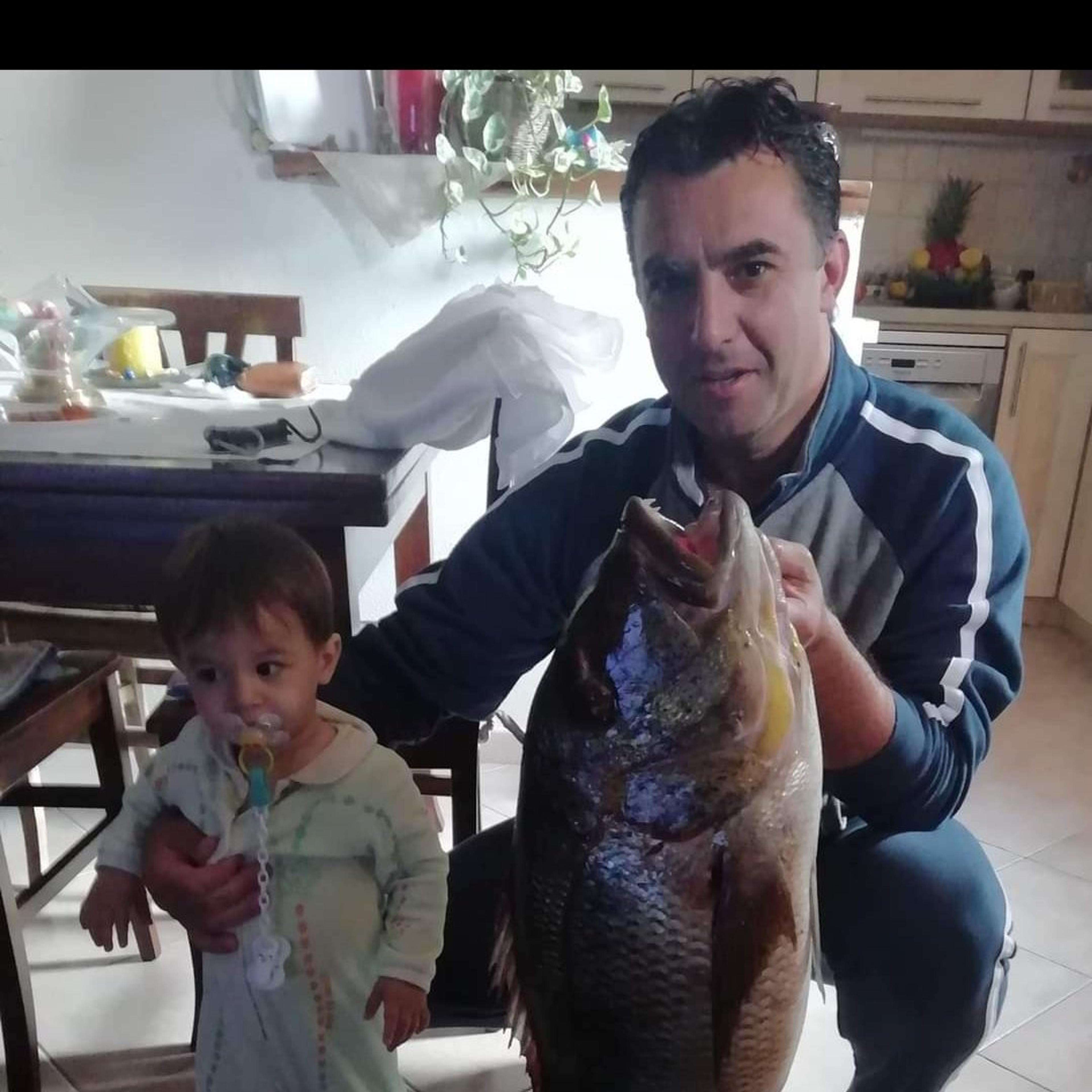 Gesuino Noce