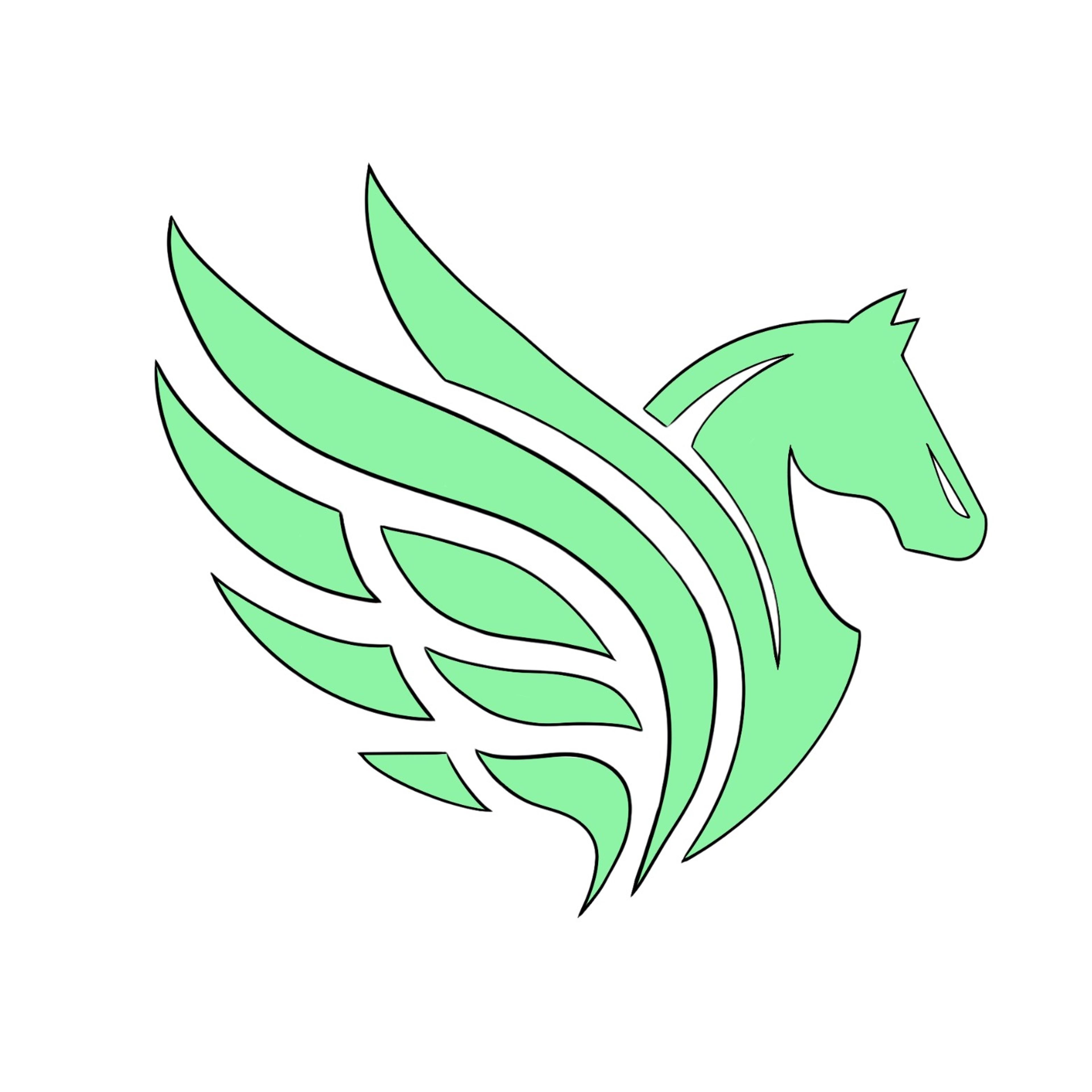 Pegasus Digital Marketing