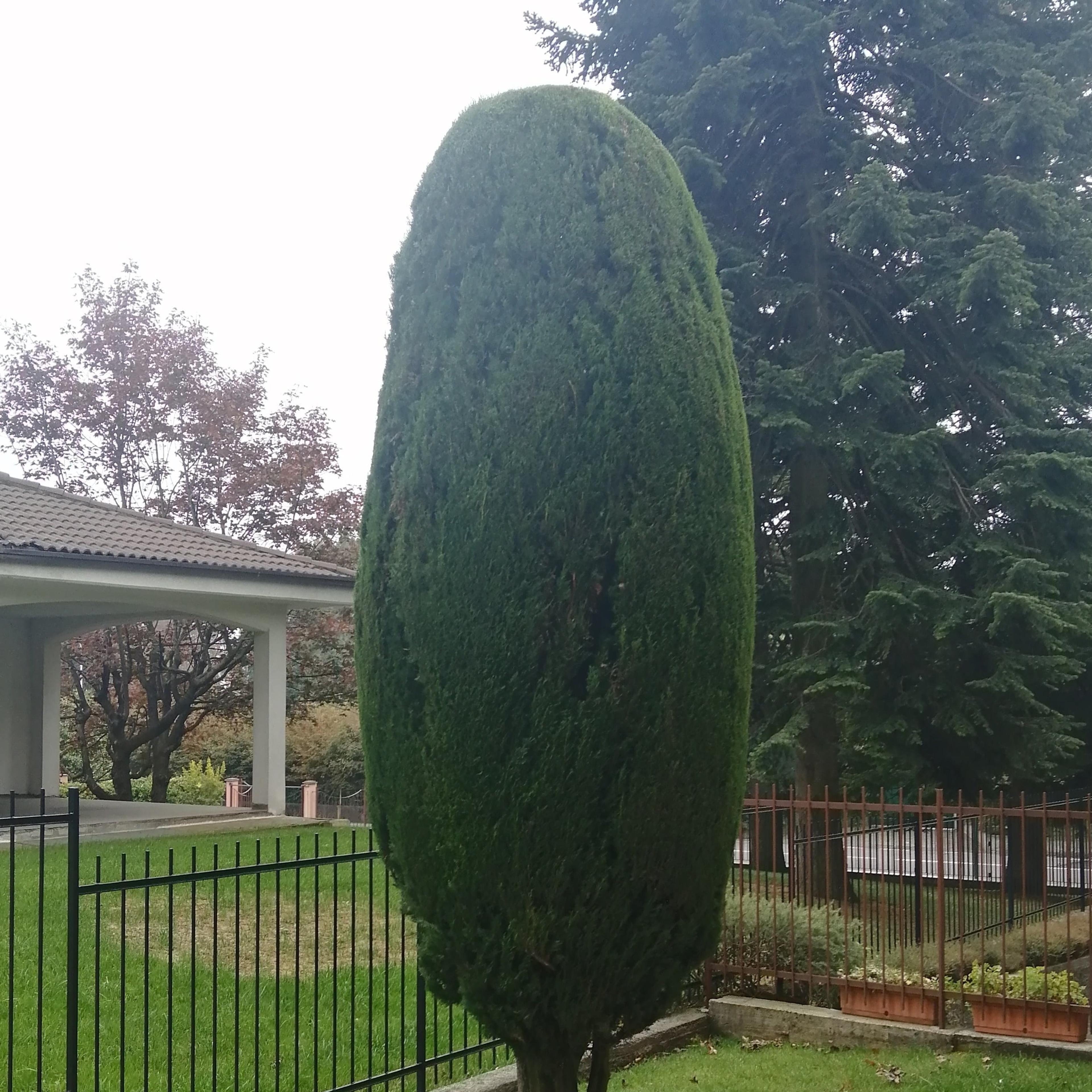 Stefano Riva giardini
