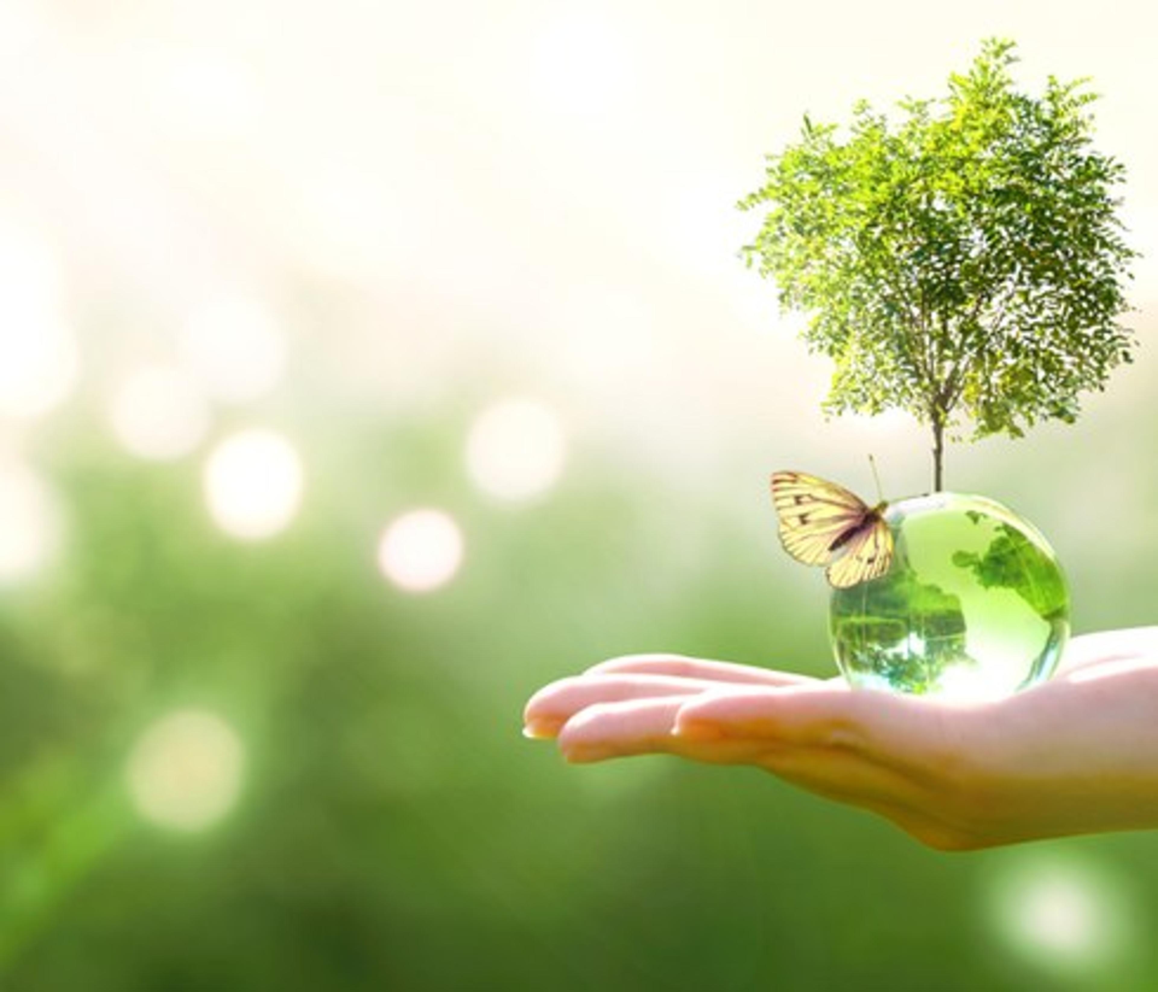 EcoShine