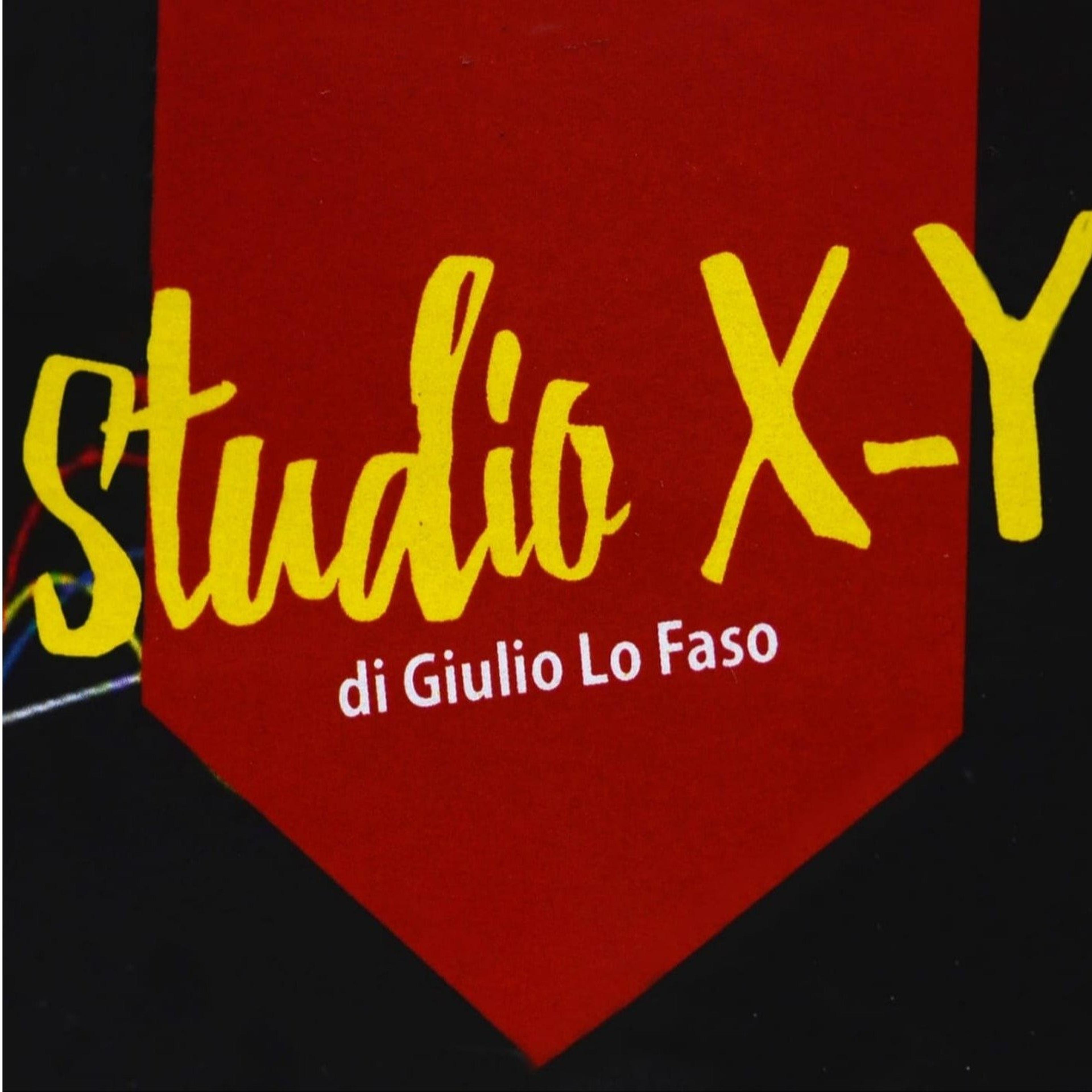 Studio X-Y di Giulio Lo Faso