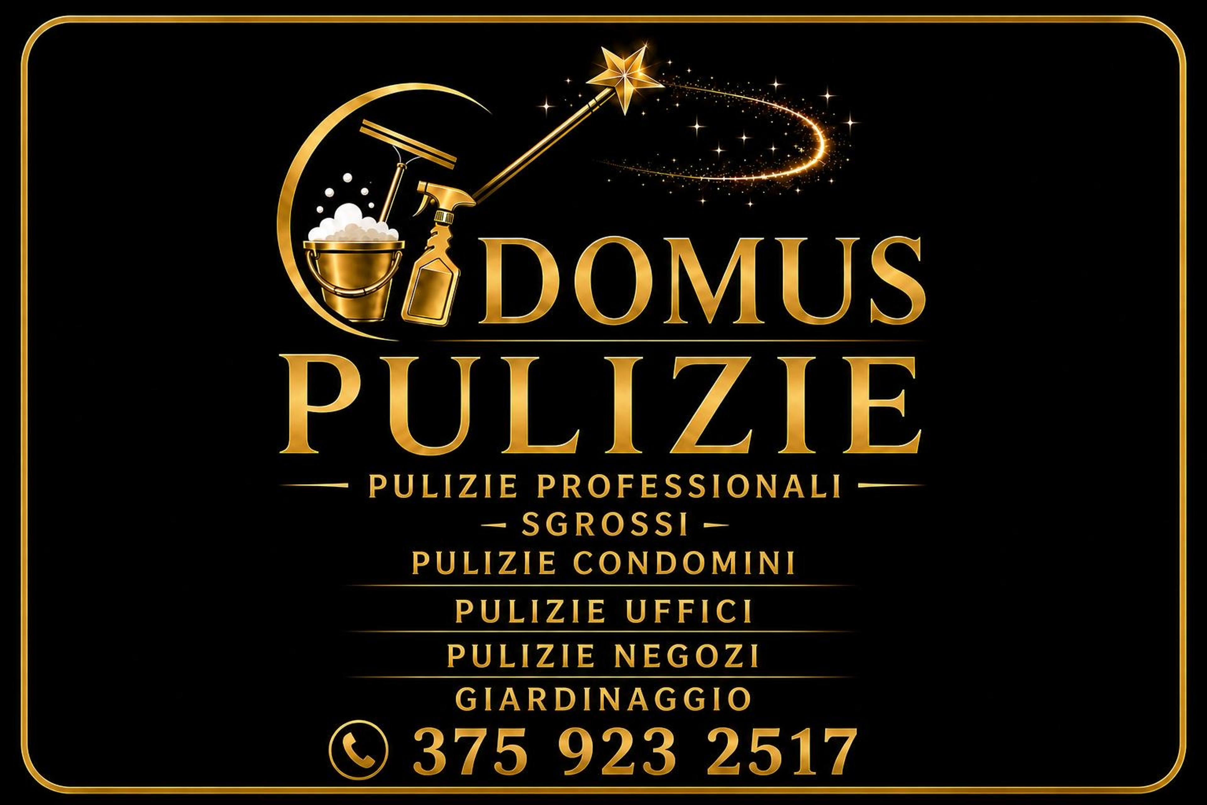 Domus Pulizie