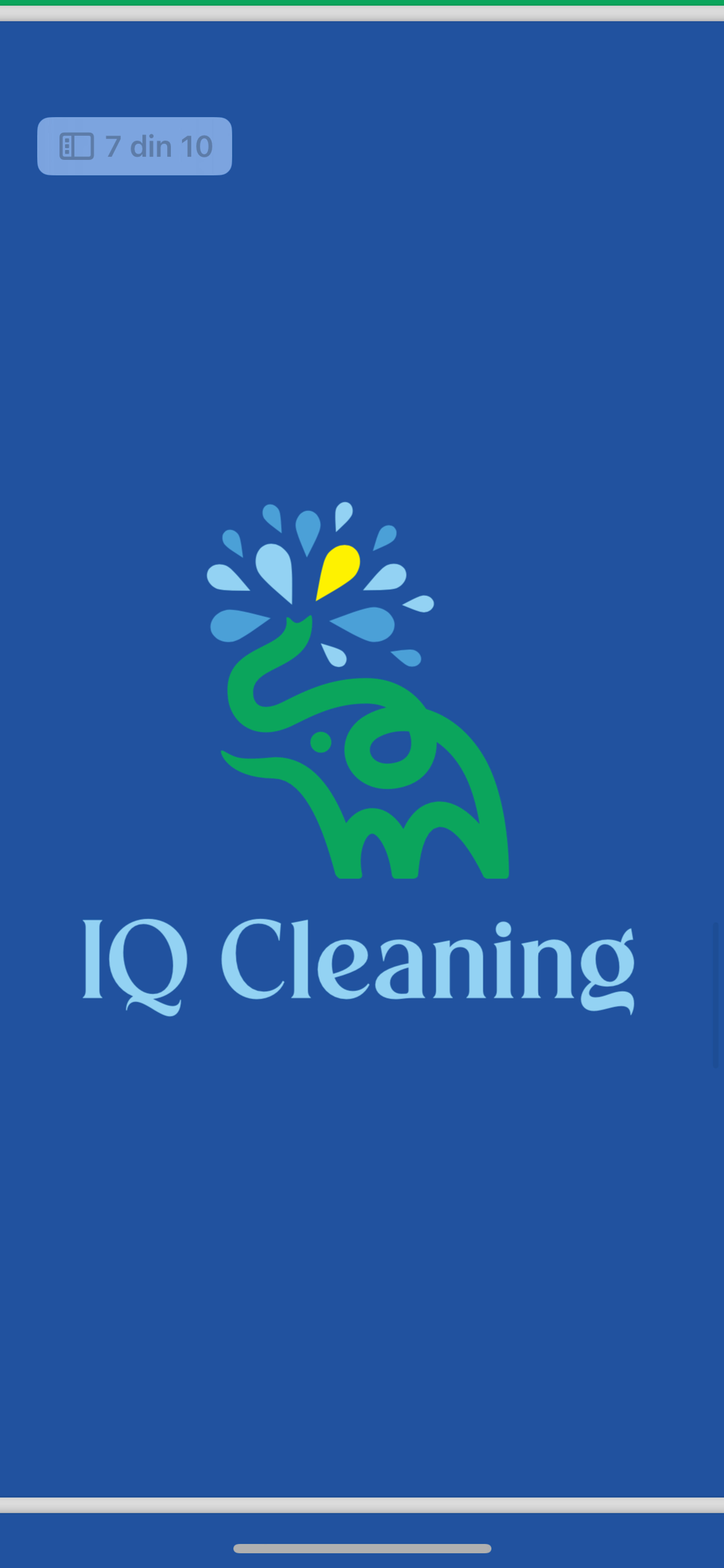 IQCleaning