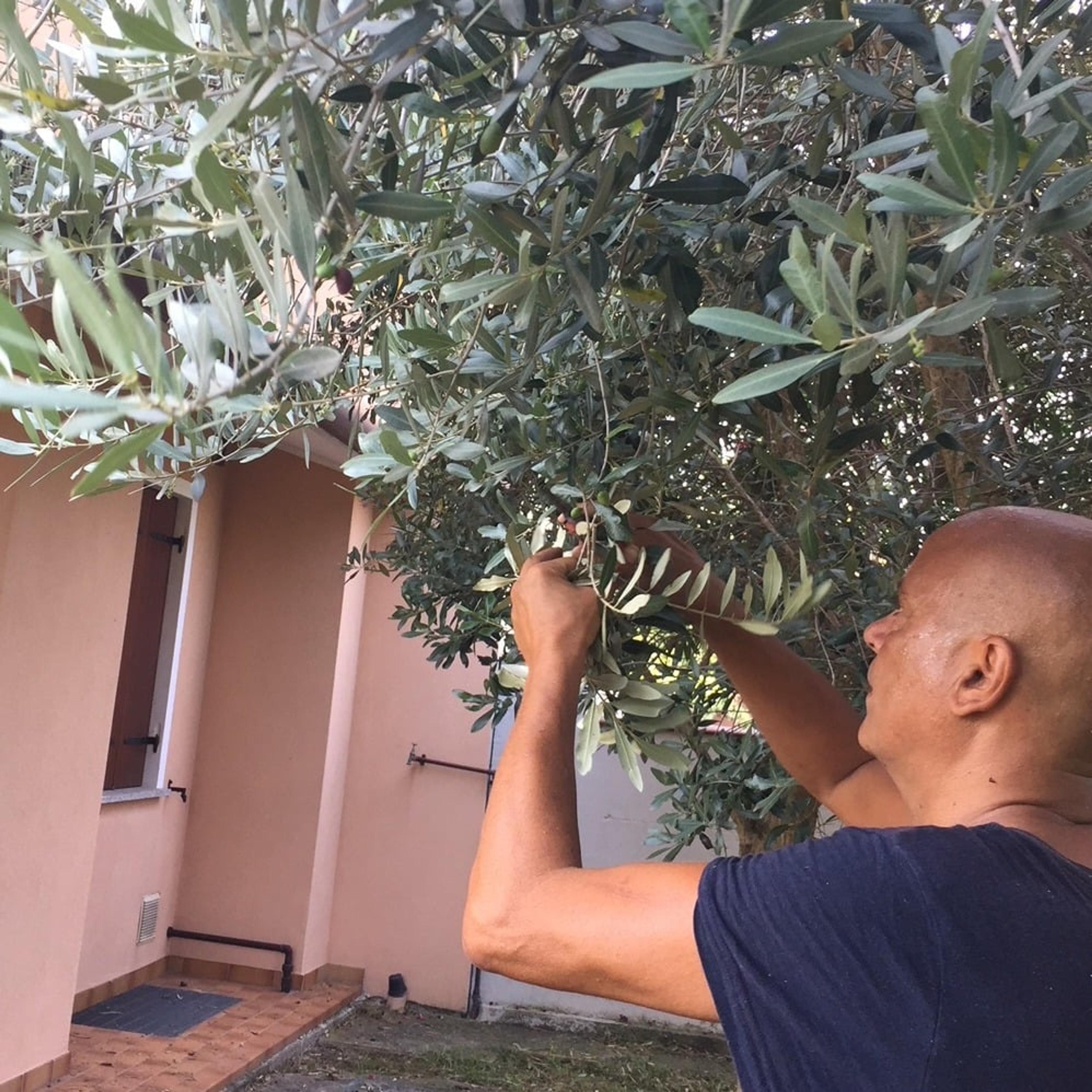 Alex il Giardiniere
