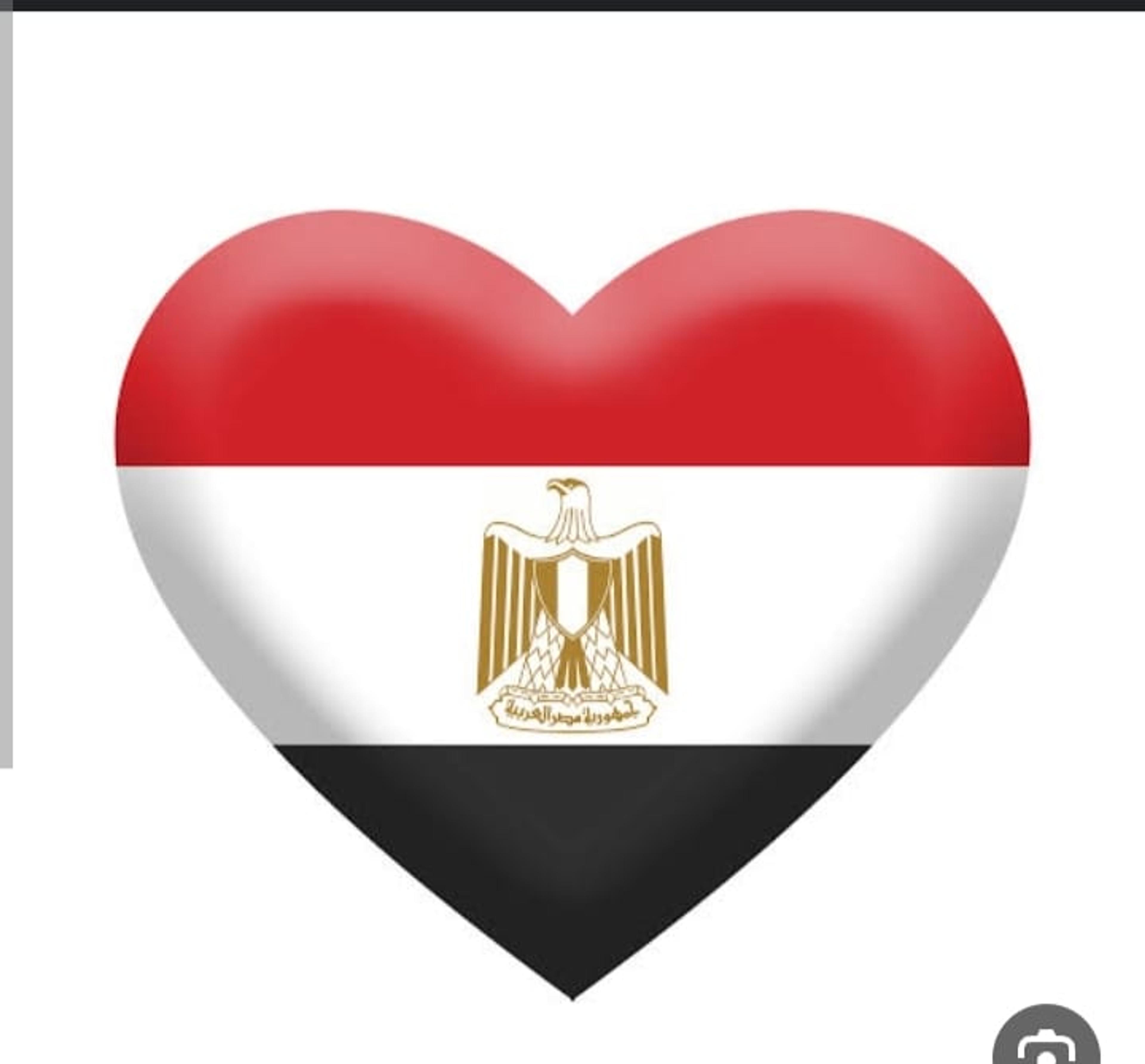ابوريتال للمقاولات العامه