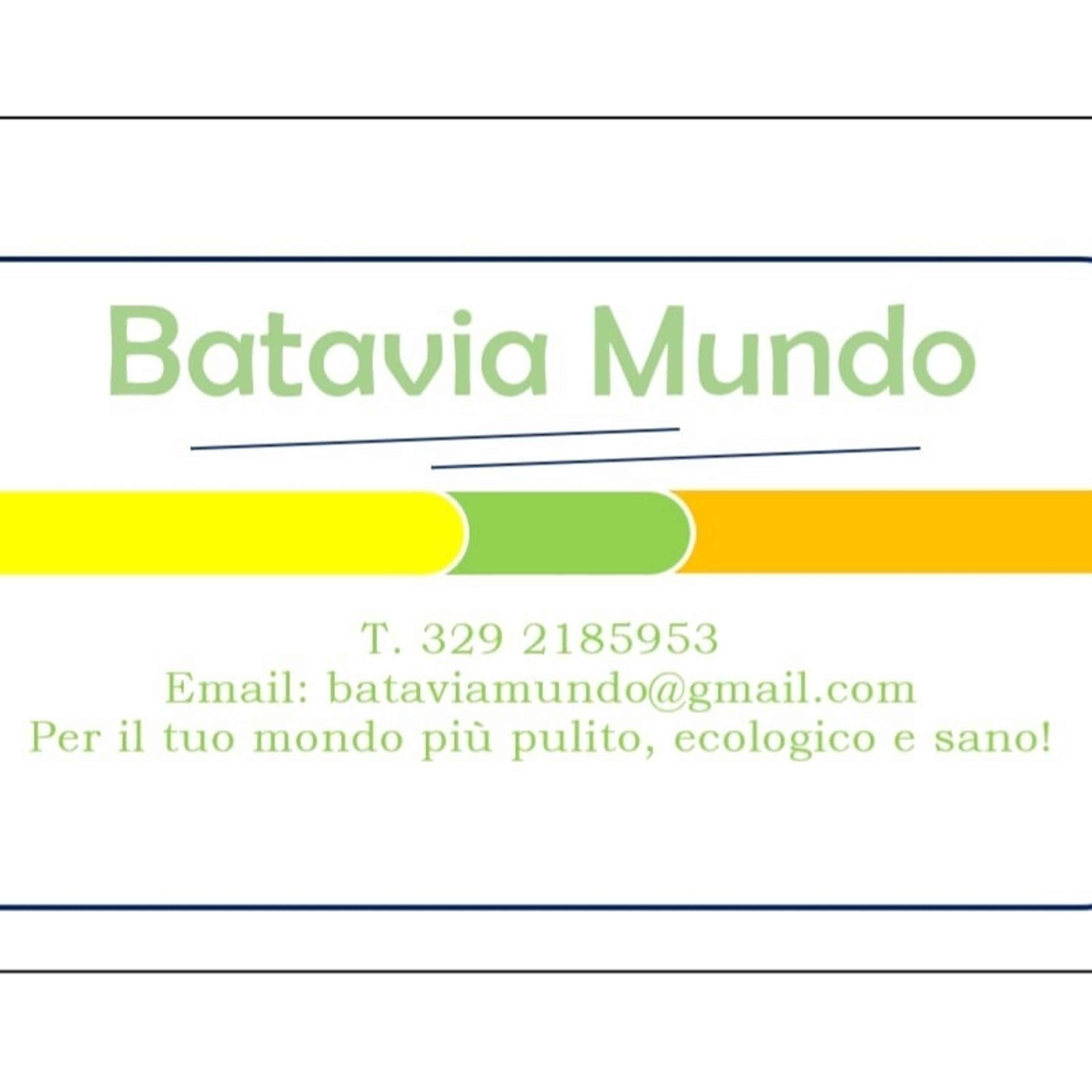 Batavia Mundo, Impresa di Pulizia e Multiservizi