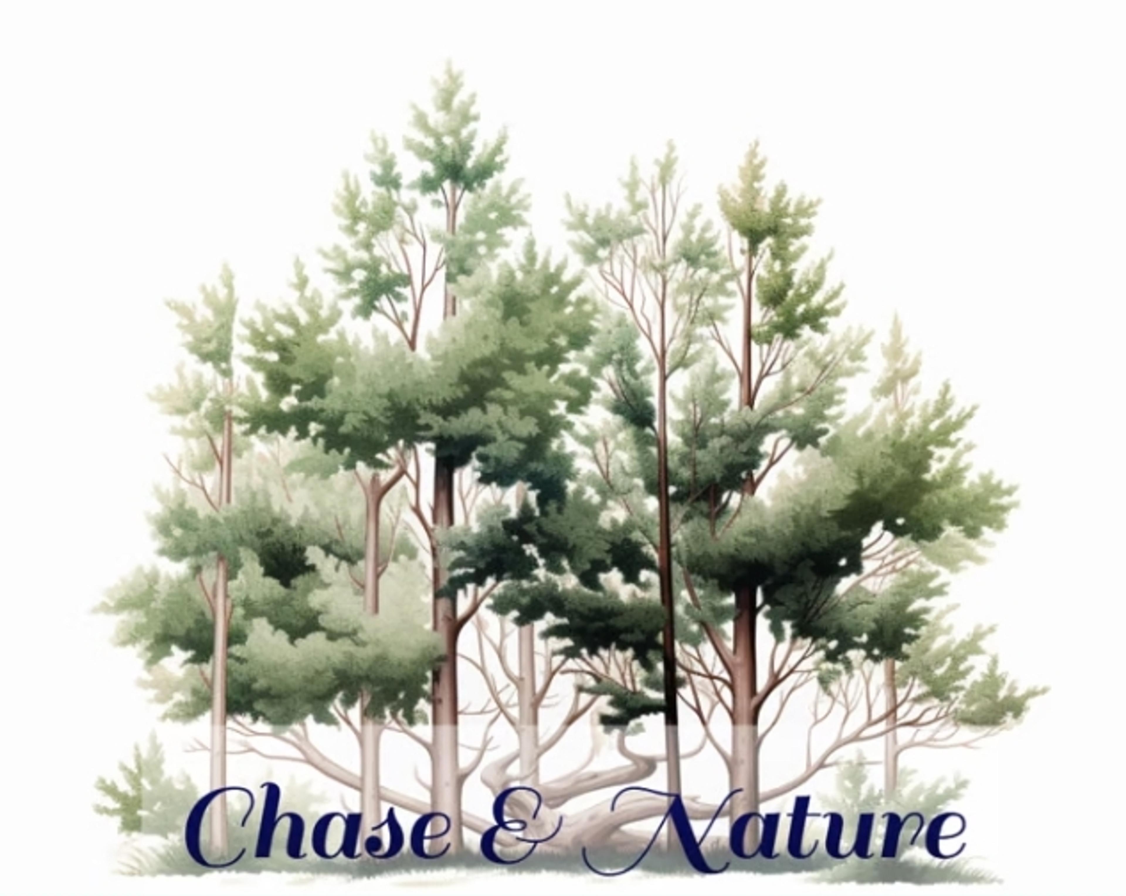 Chase And Nature