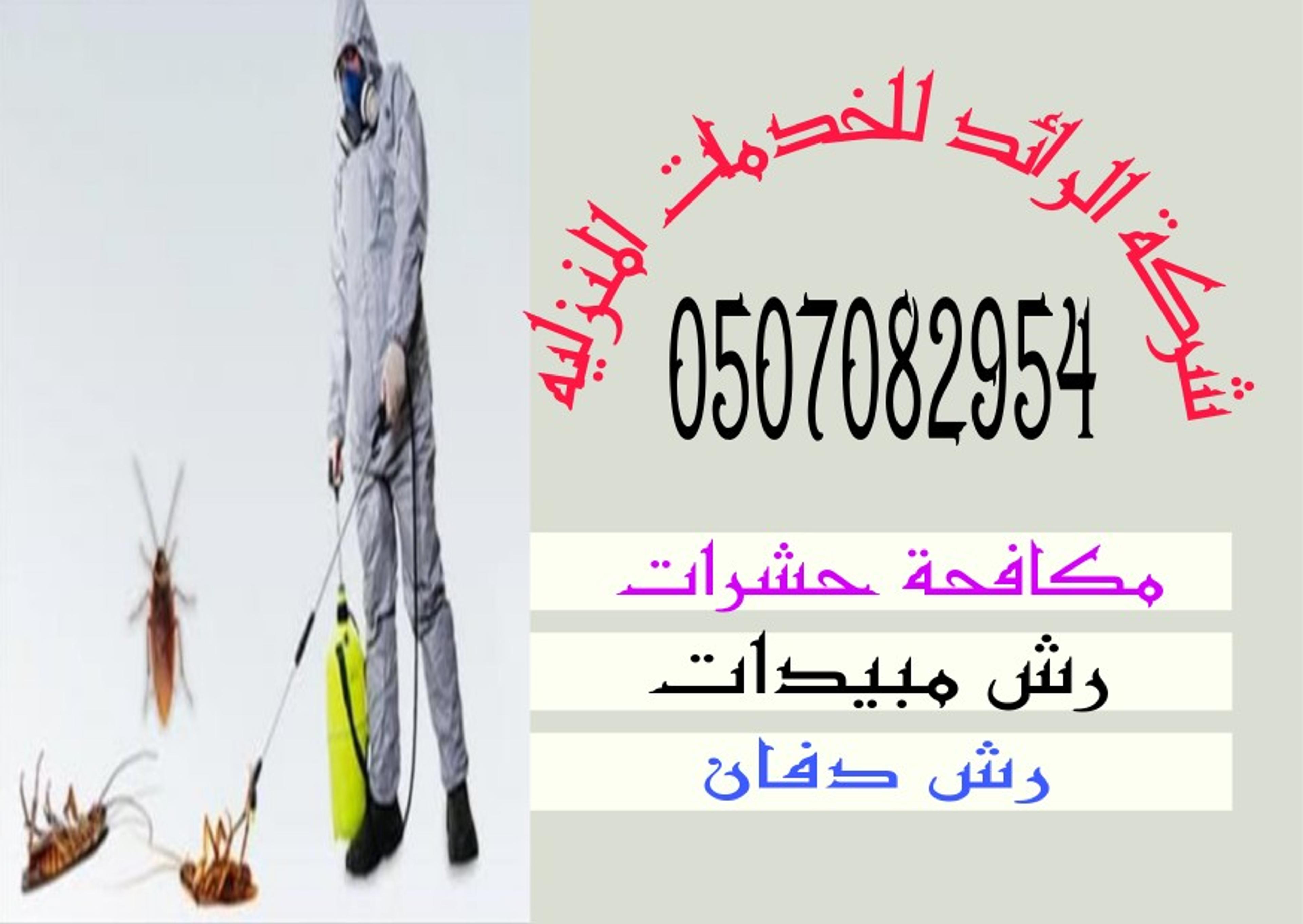 الرائد للخدمات ا