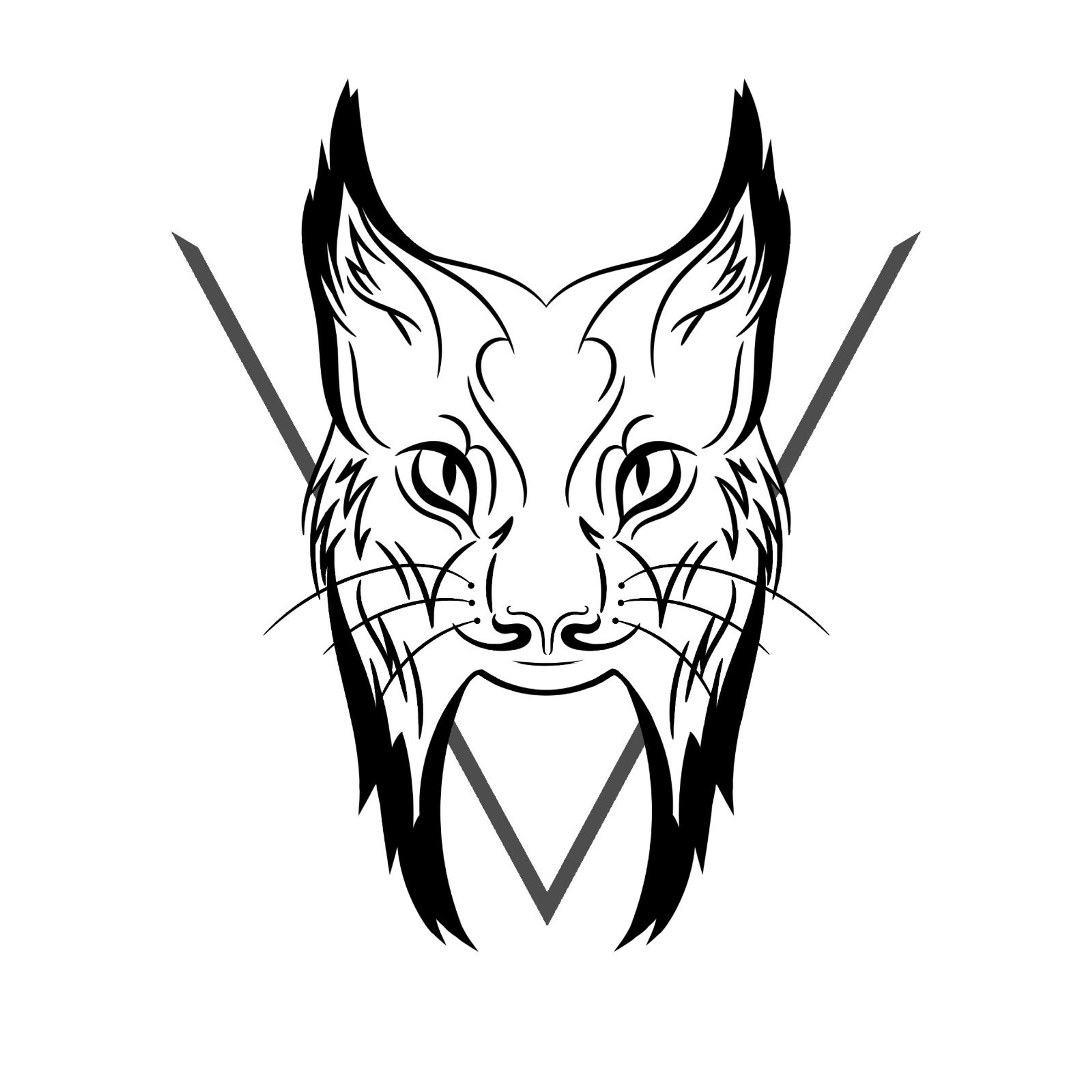 Lynx Studio 3D