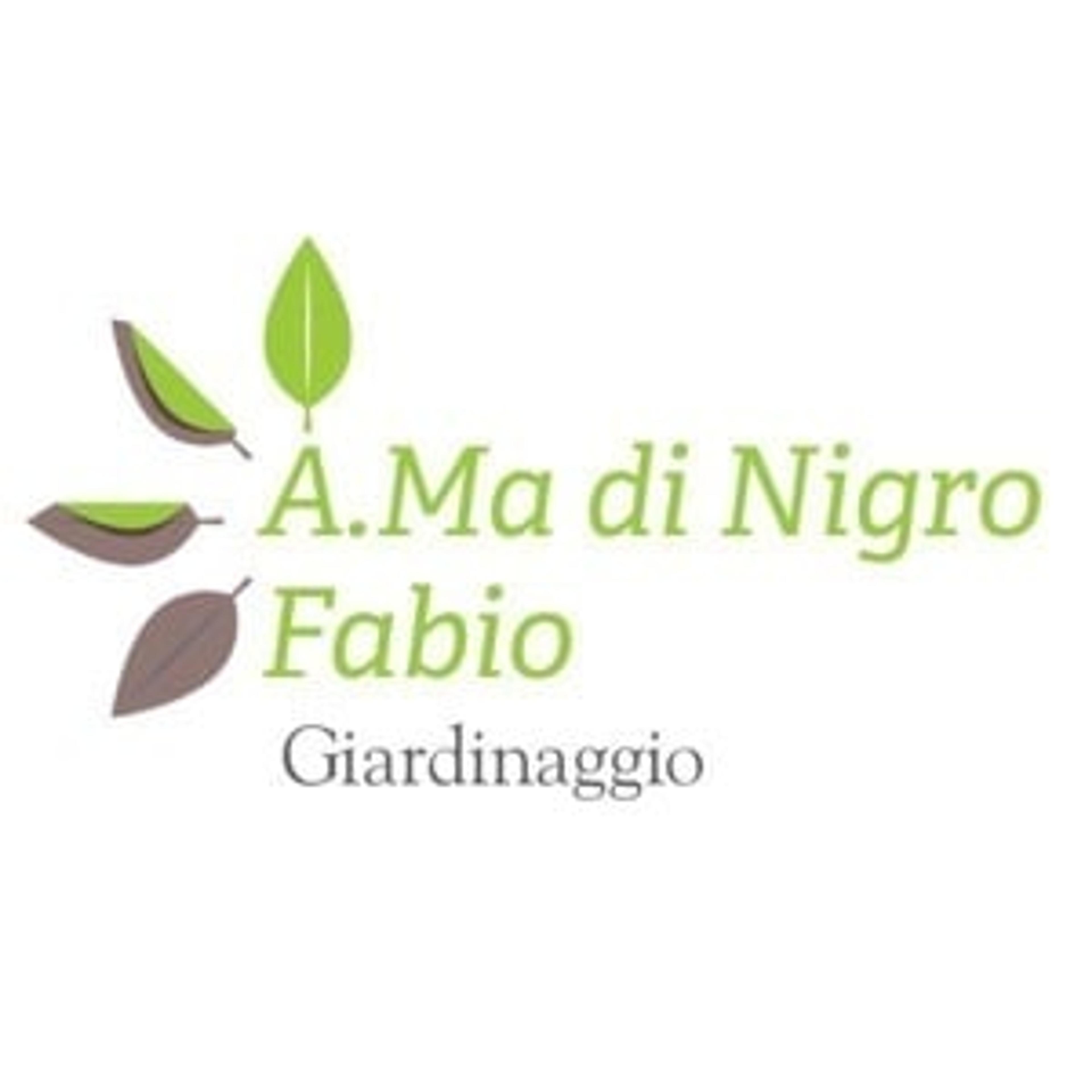 A.Ma di Nigro Fabio