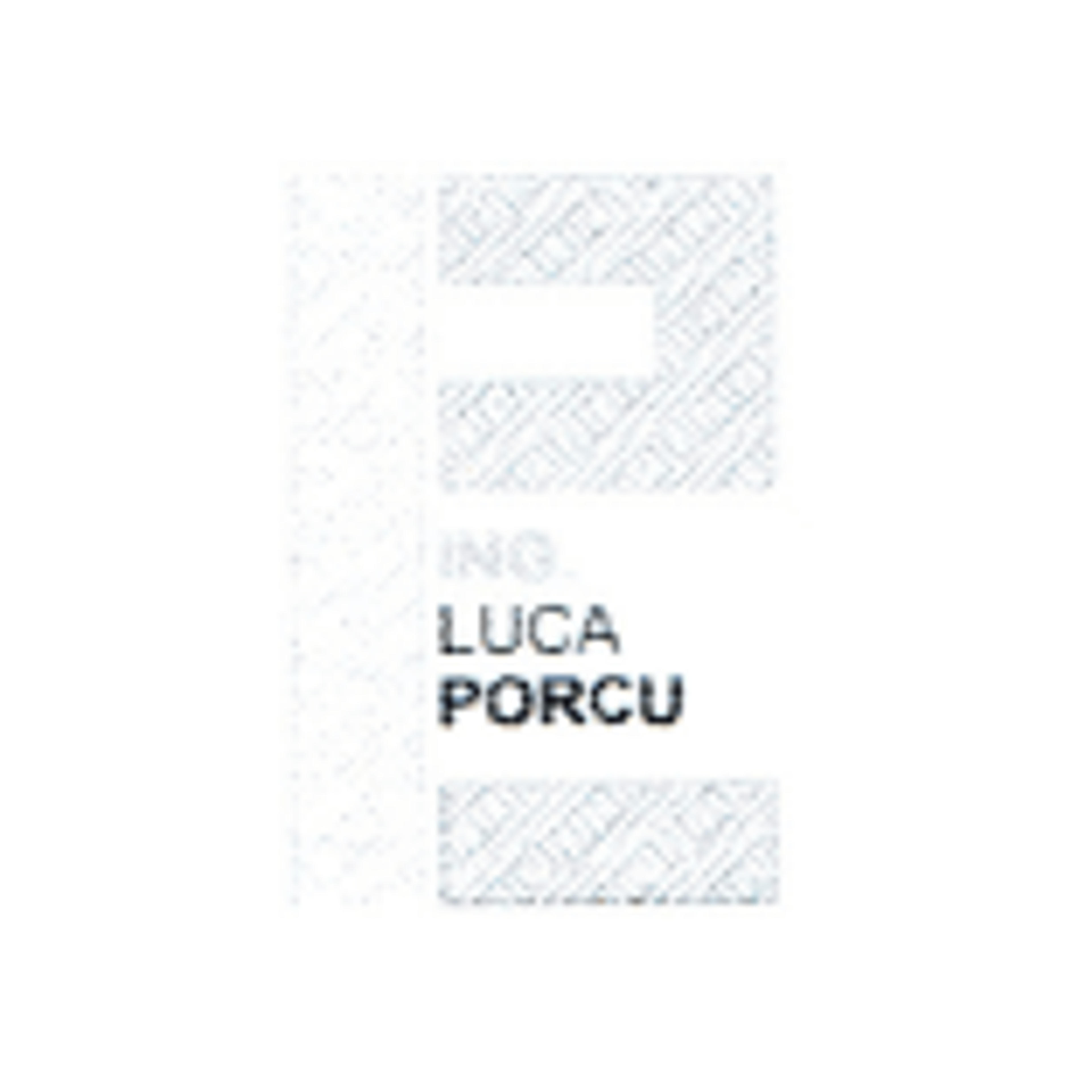 Ing. Luca Porcu