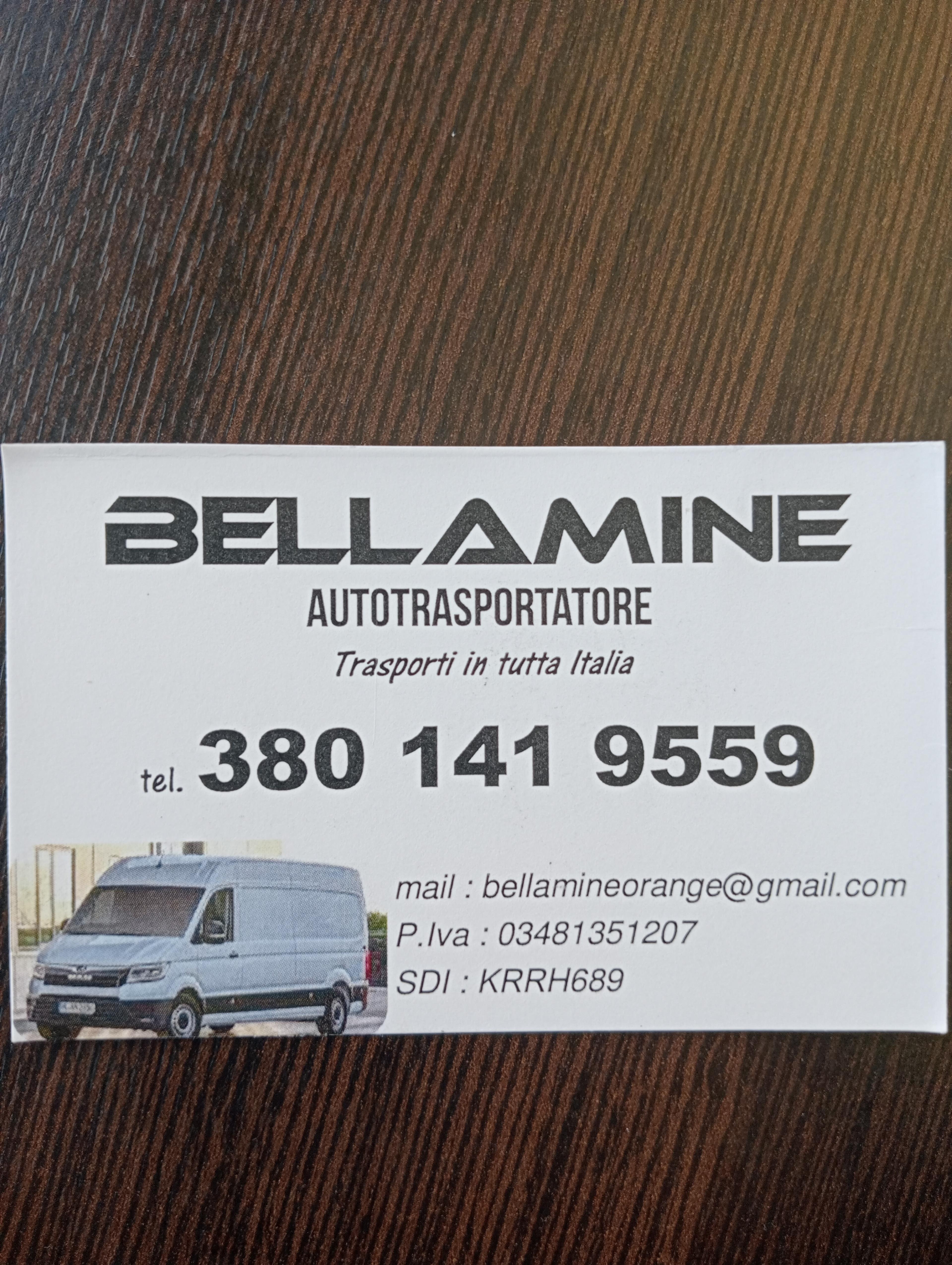 Mouhcine Bellamine