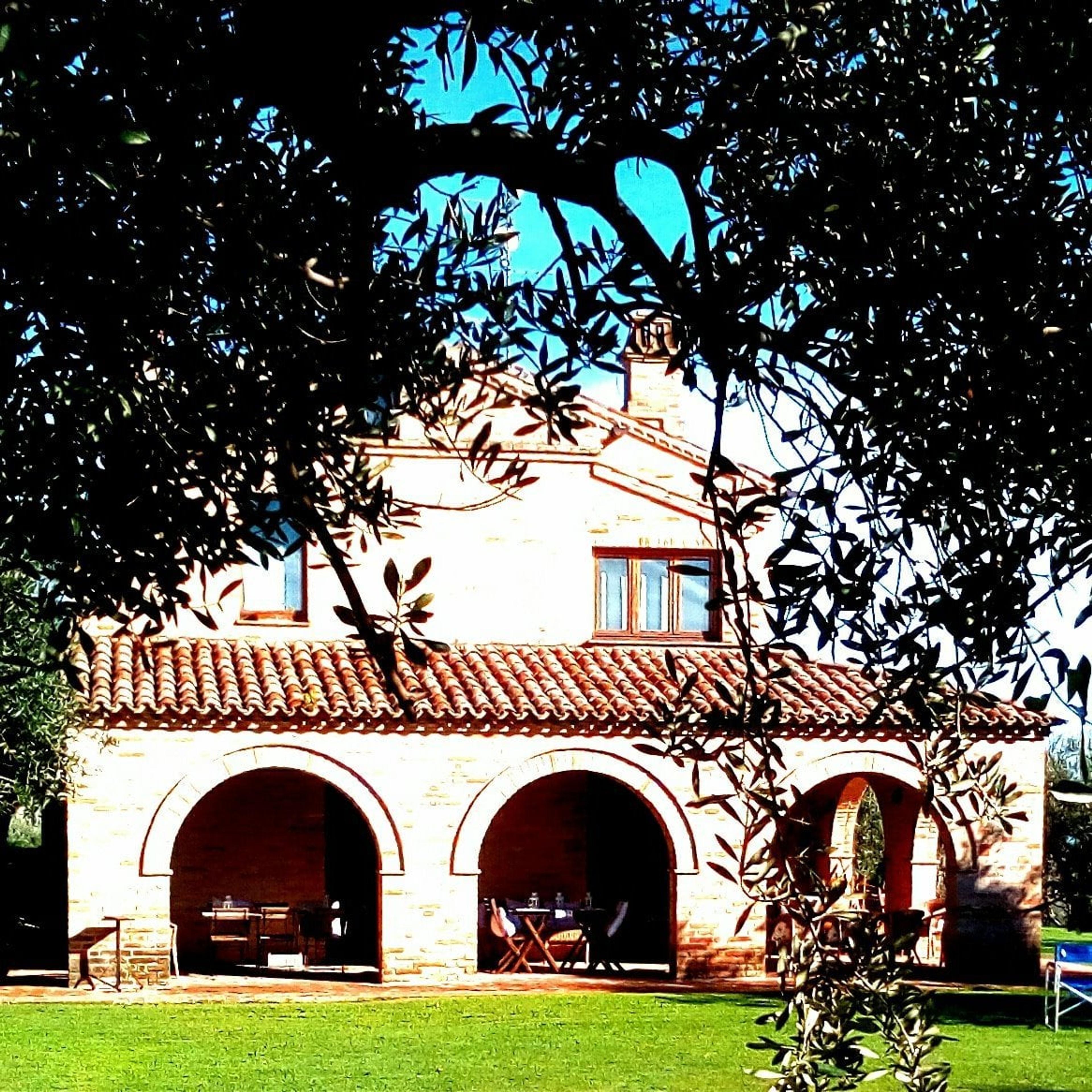La casa tra gli ulivi