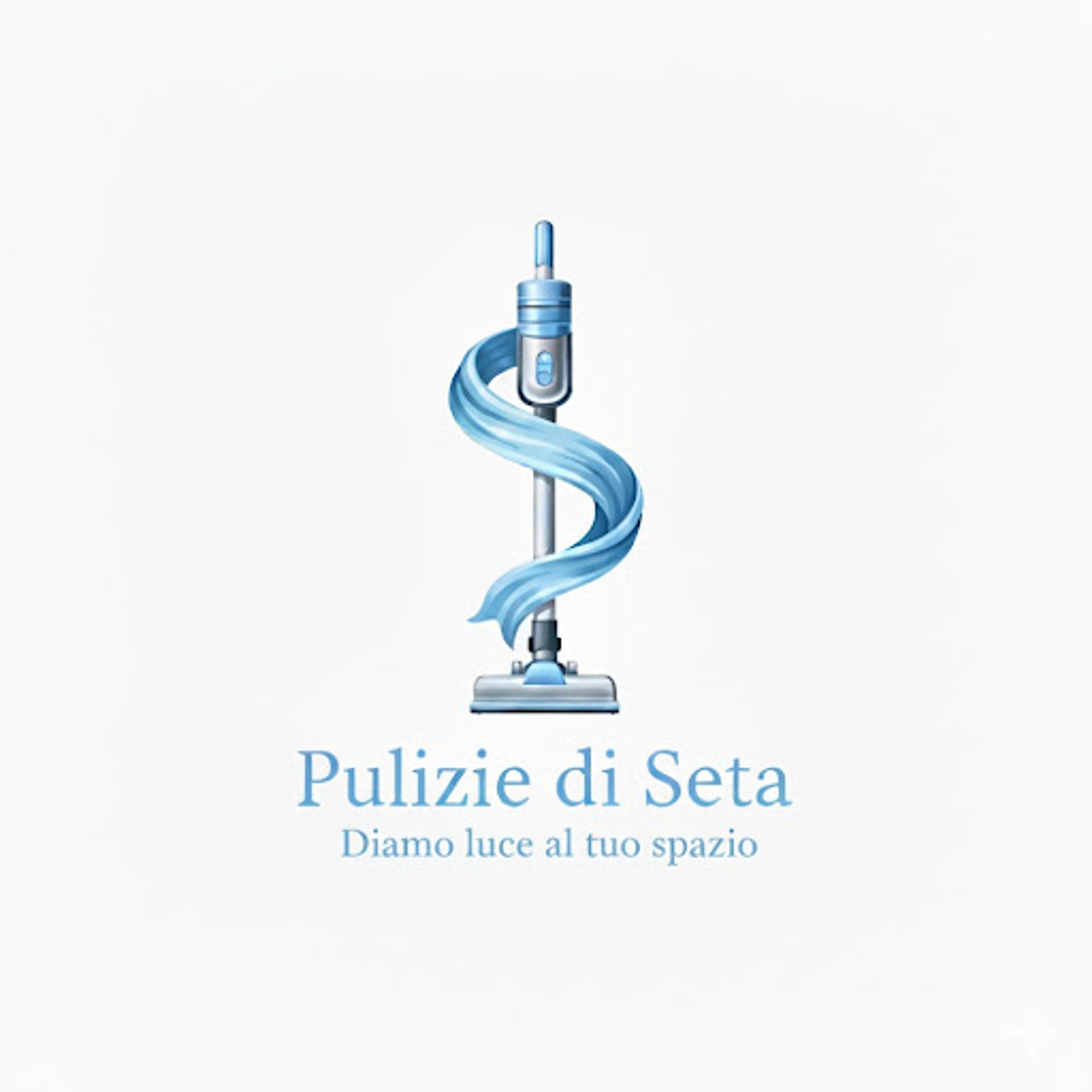 Pulizie Di Seta Impresa Di Pulizie