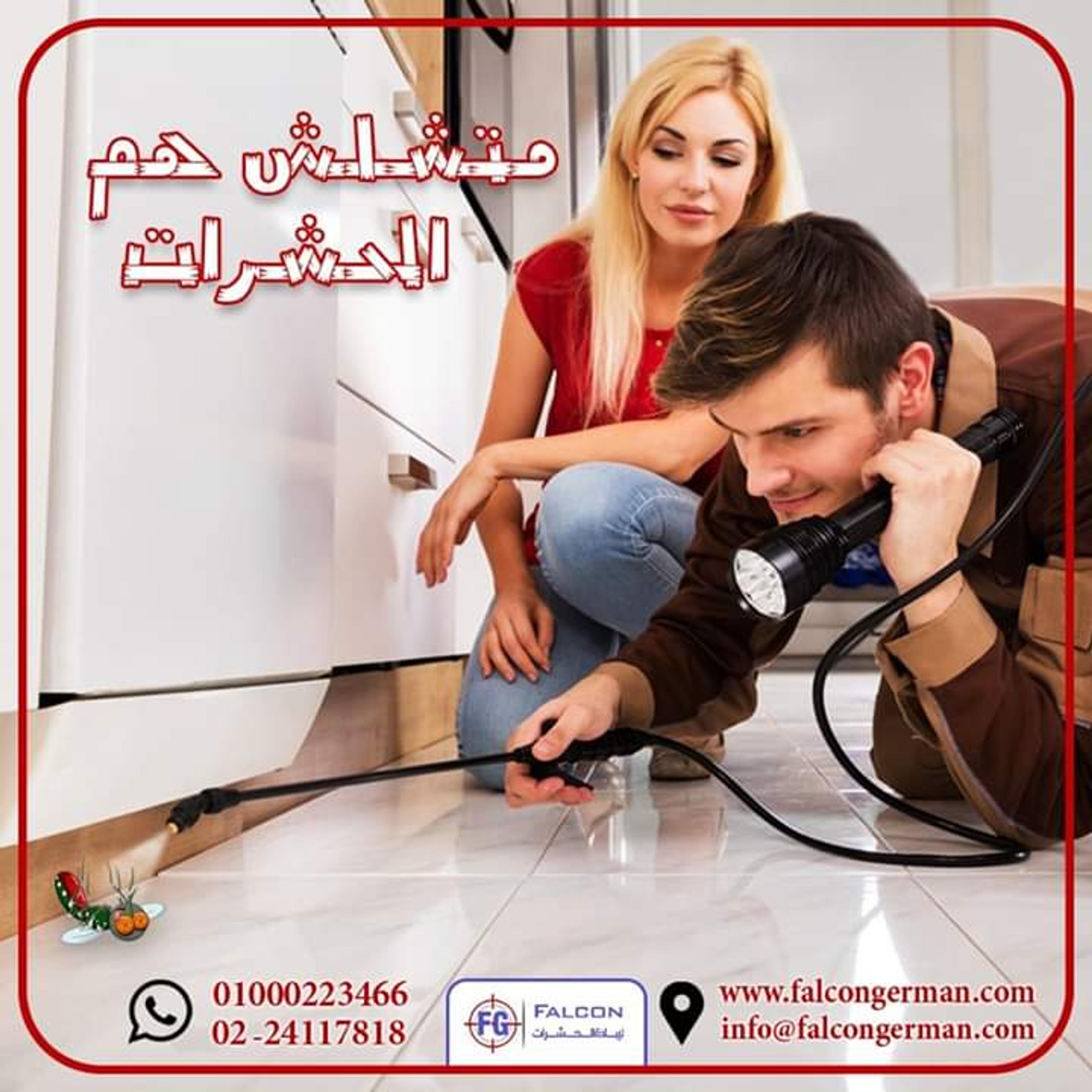فالكون الالمانية
