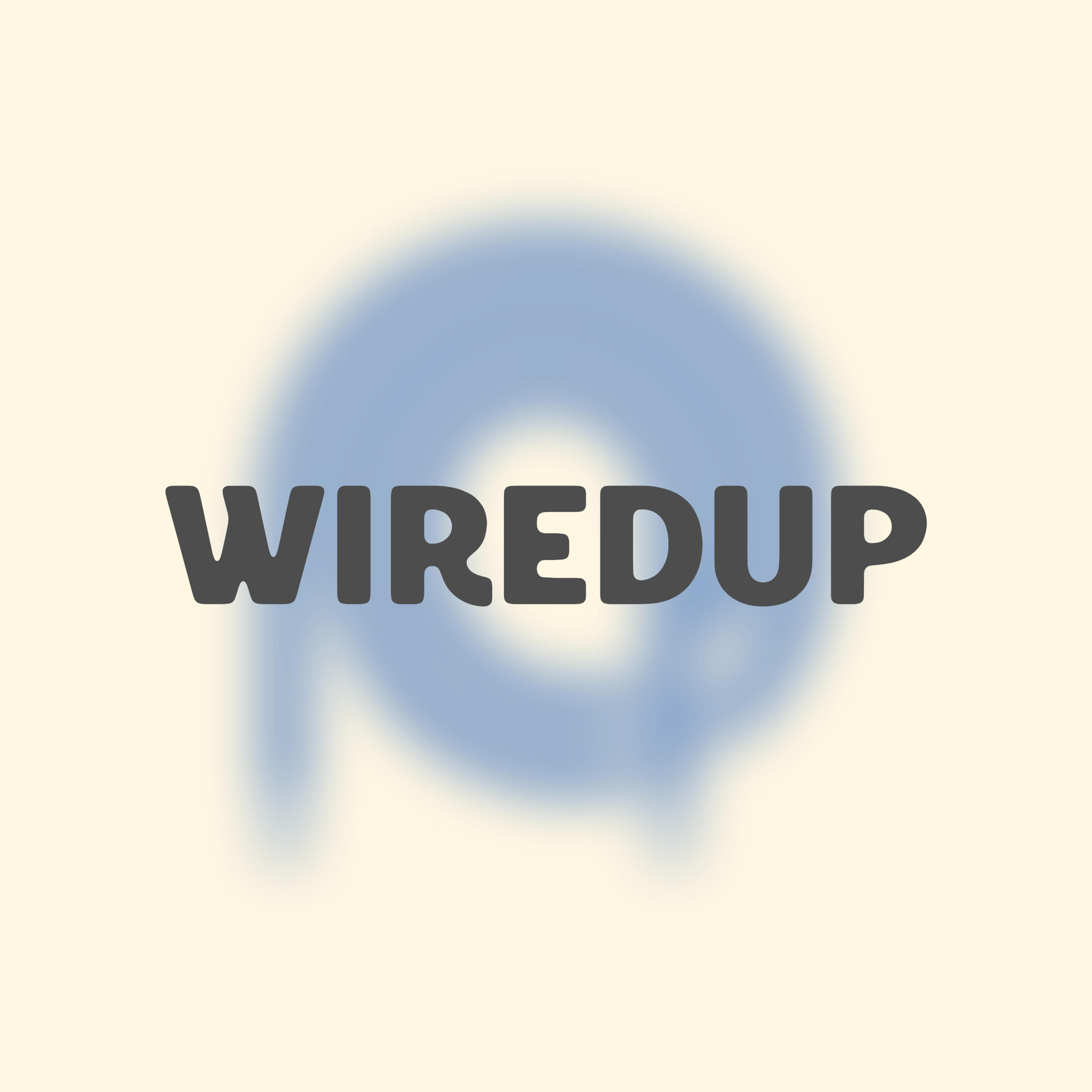 WiredUP Srls
