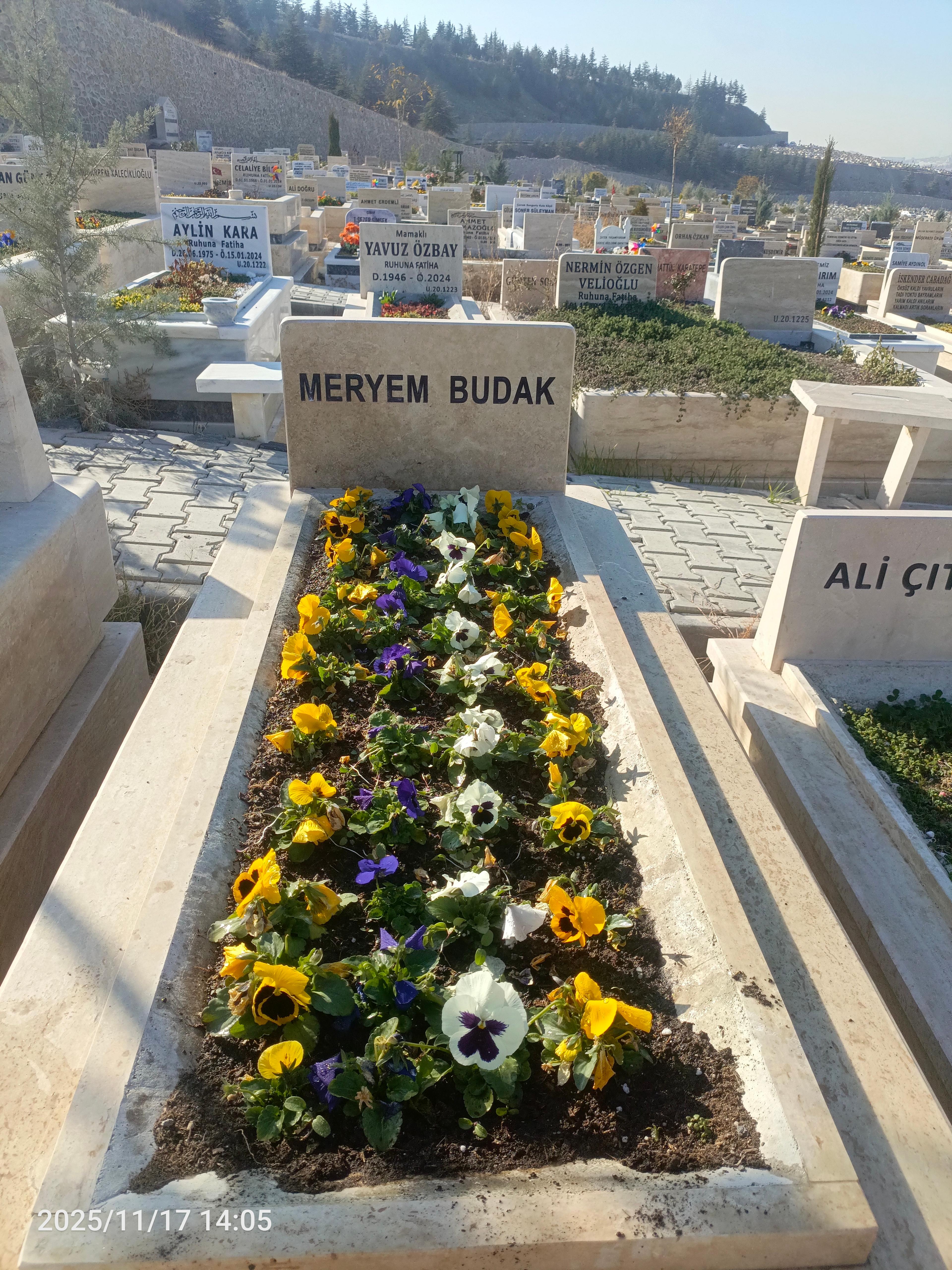 Fatih Biler