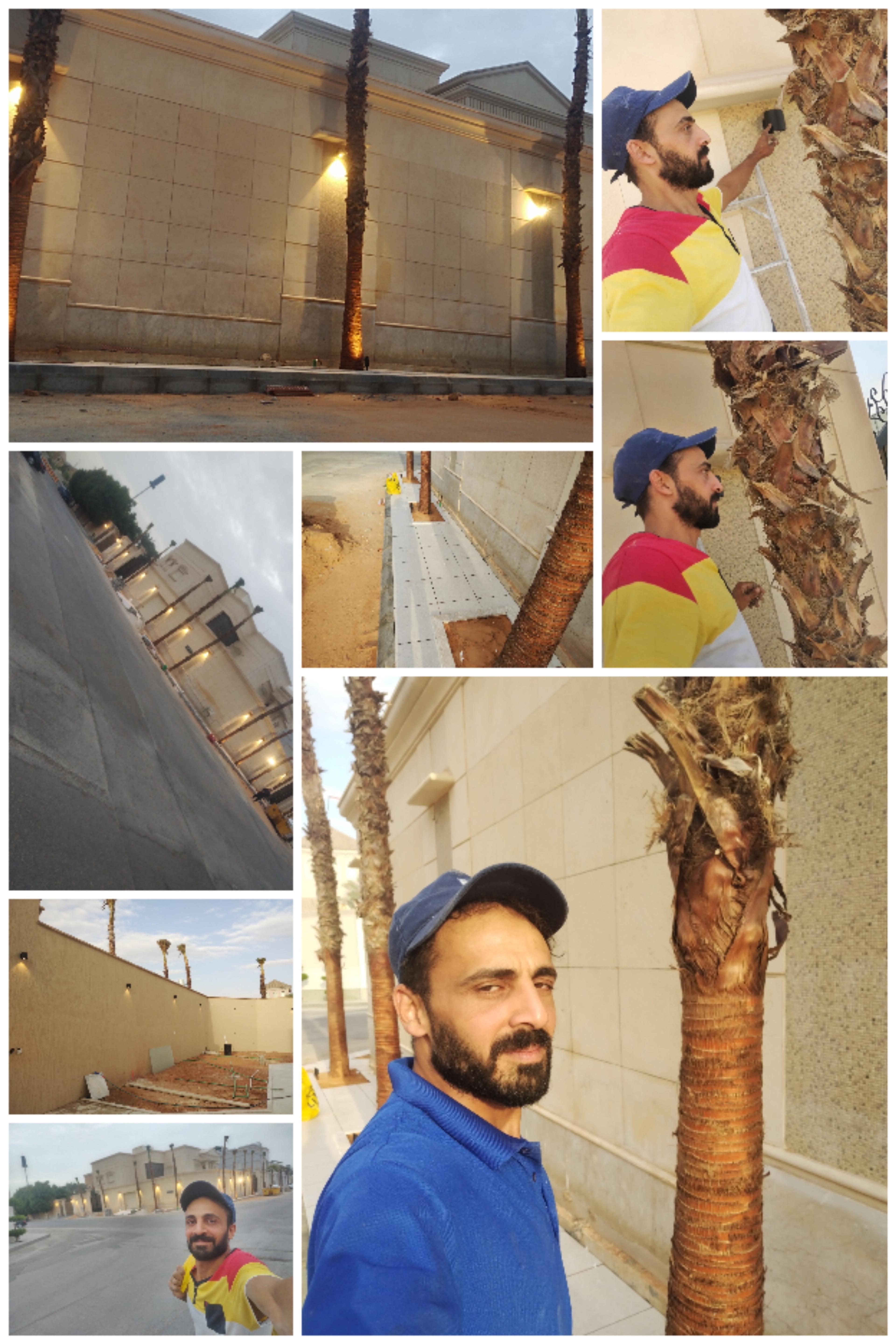 عمرو سمير