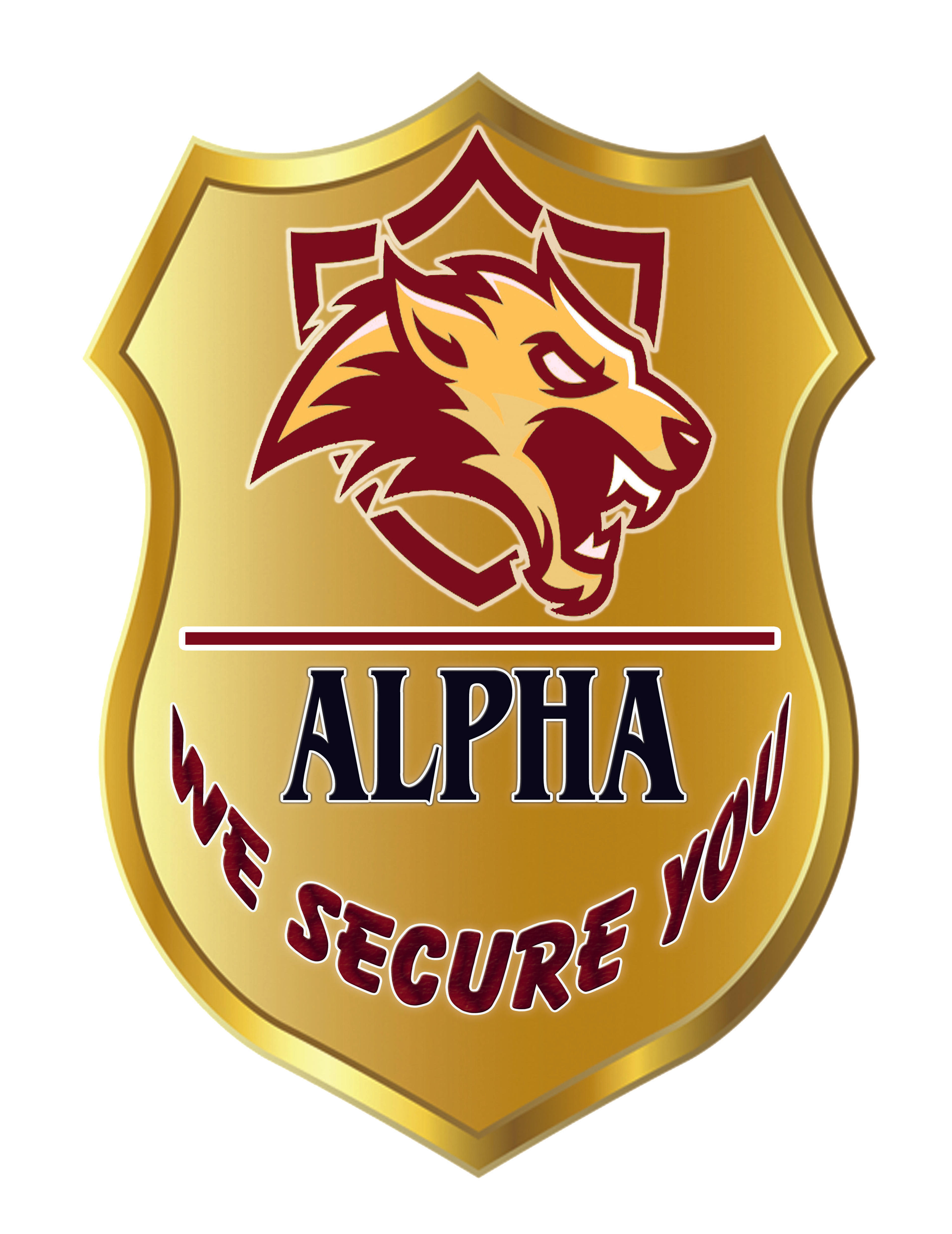 ALPHA SECURITY