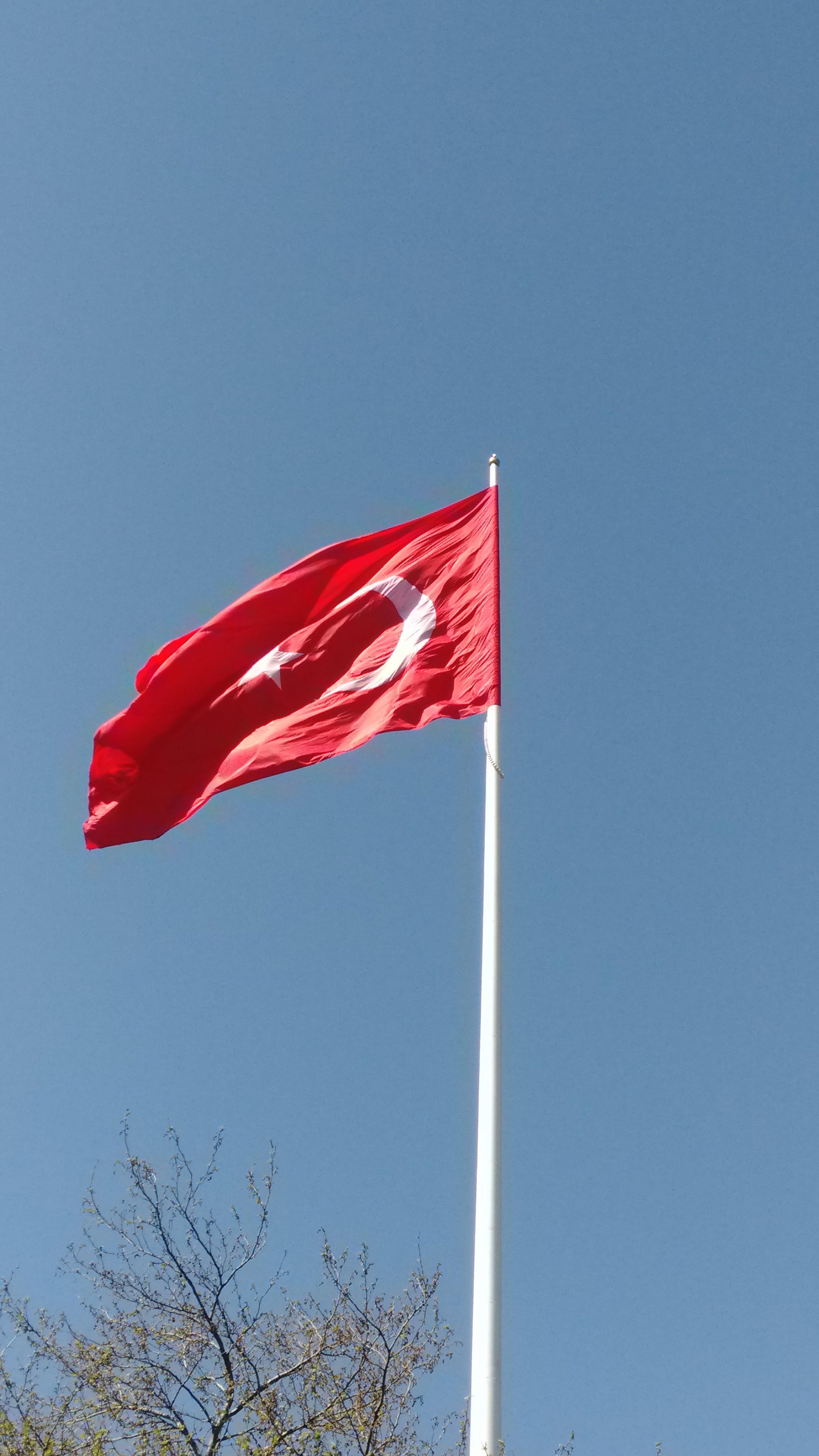 Davut Yılmaz
