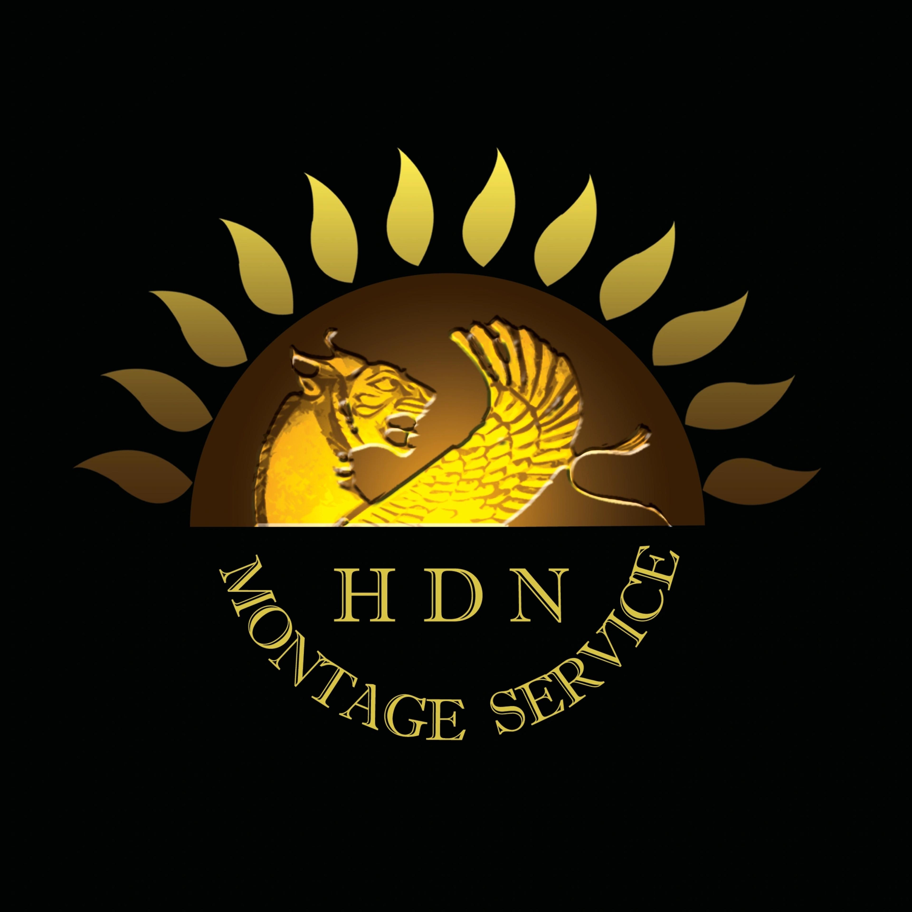 Hadi Davary