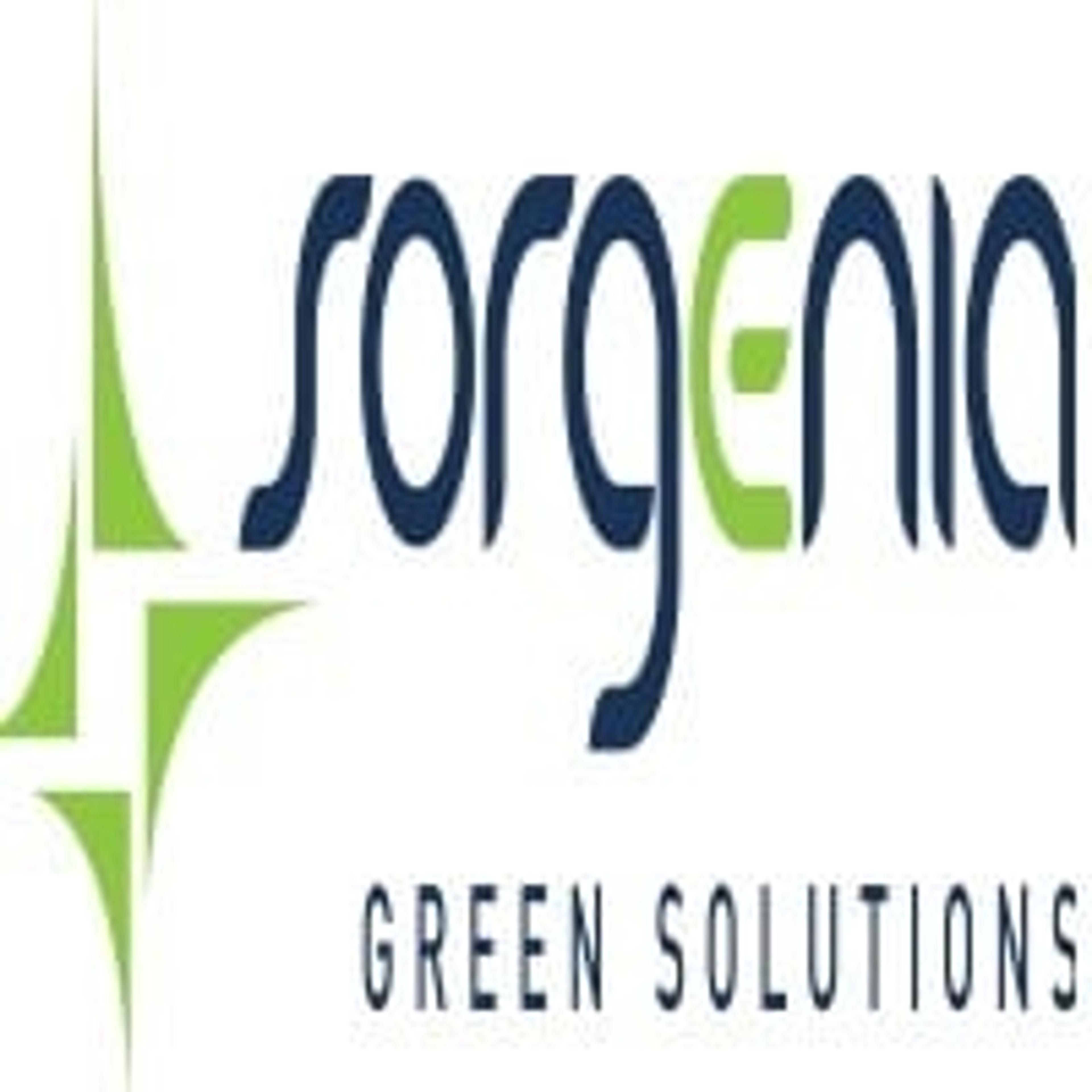 Sorgenia green Solutions
