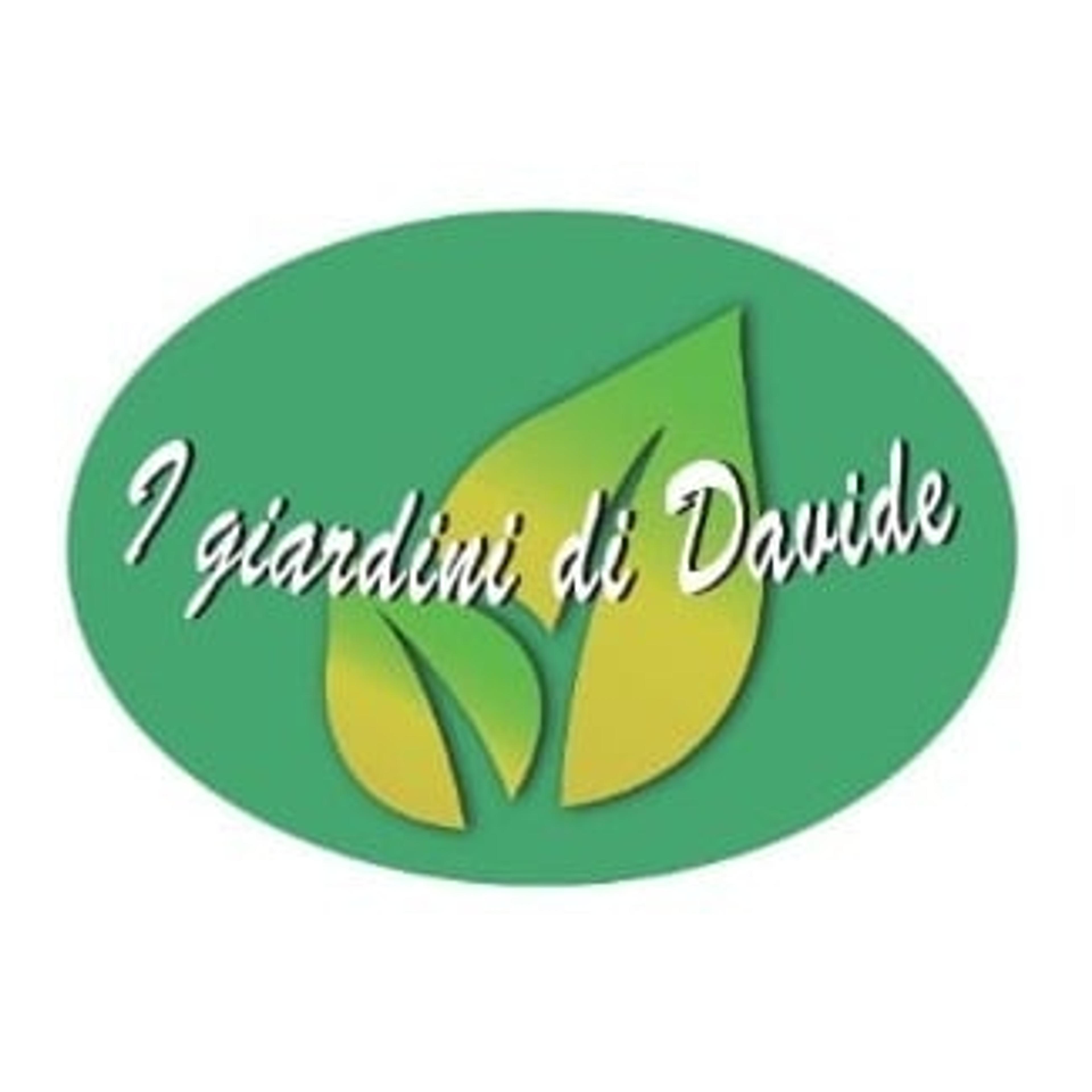 Davide Di Grazia