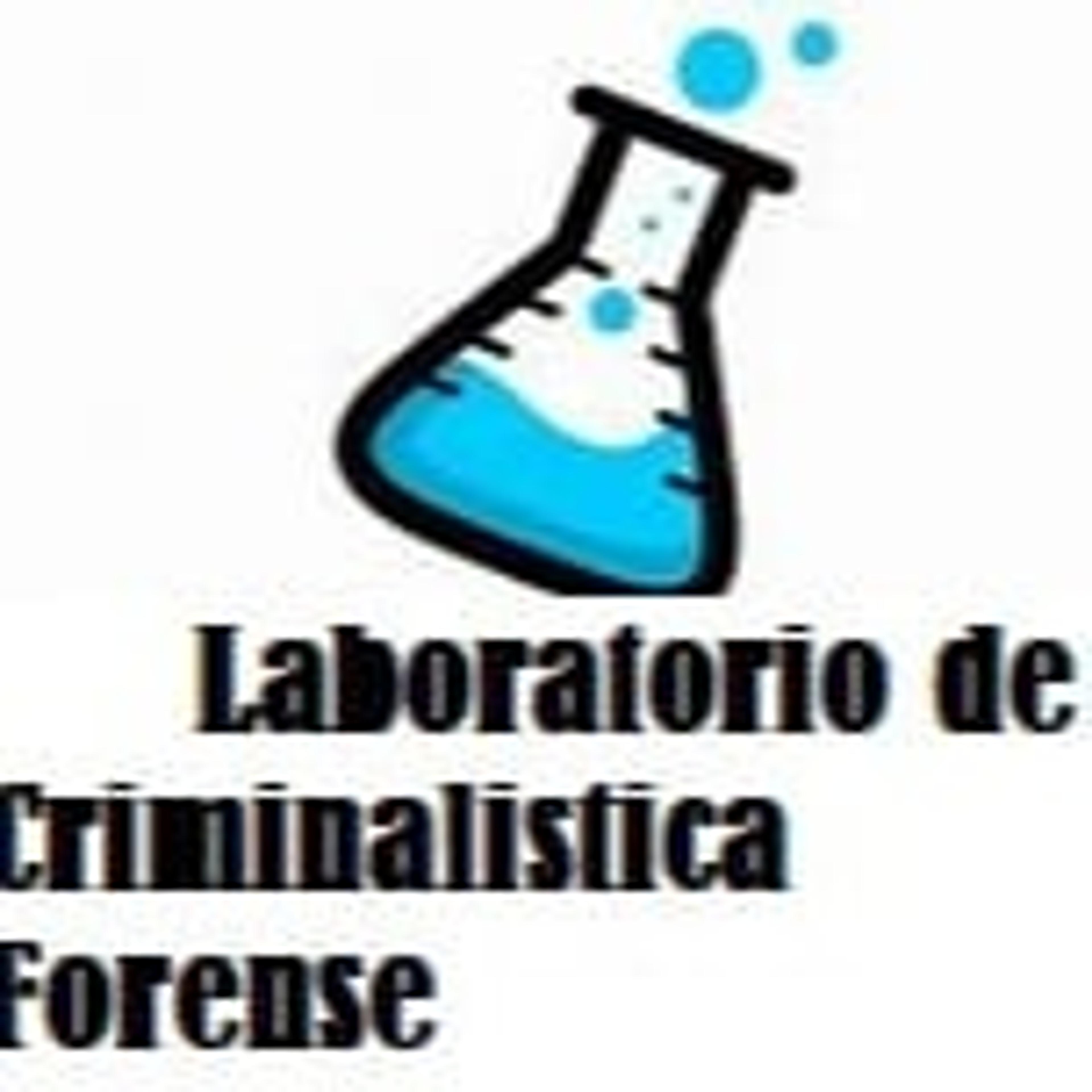 Perito Judicial