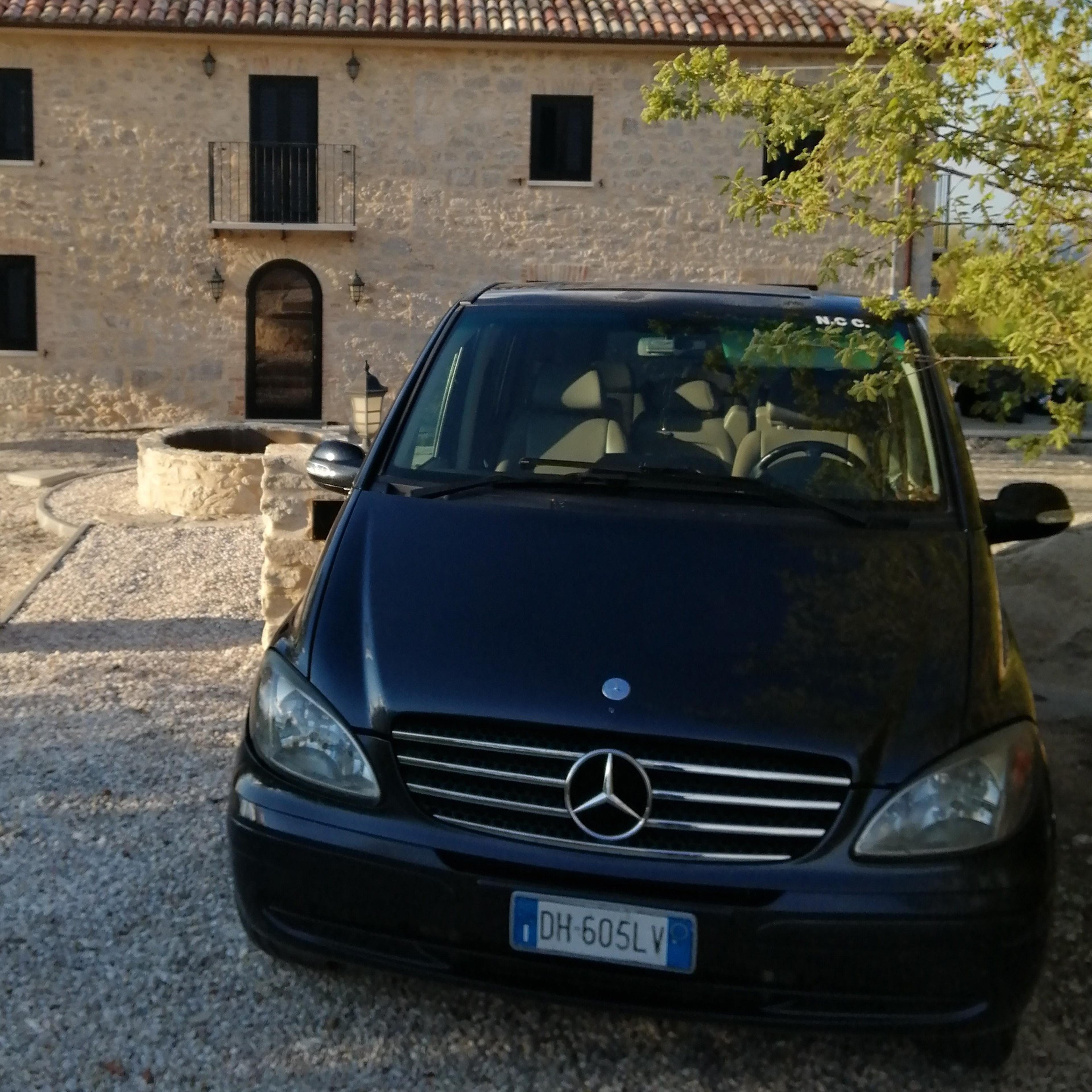 Di Martino Pier Gaspare